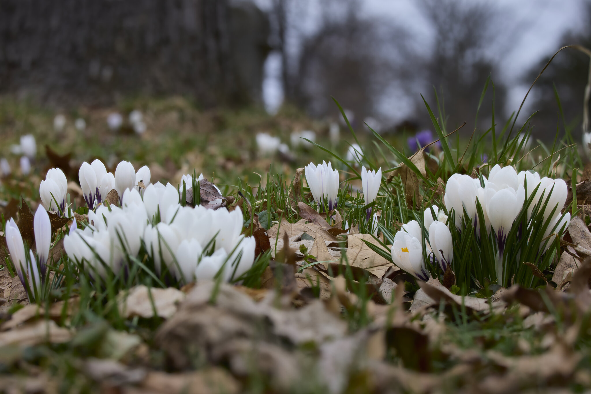 2025-03-29 09-51-17 (C,S10) 1.jpg