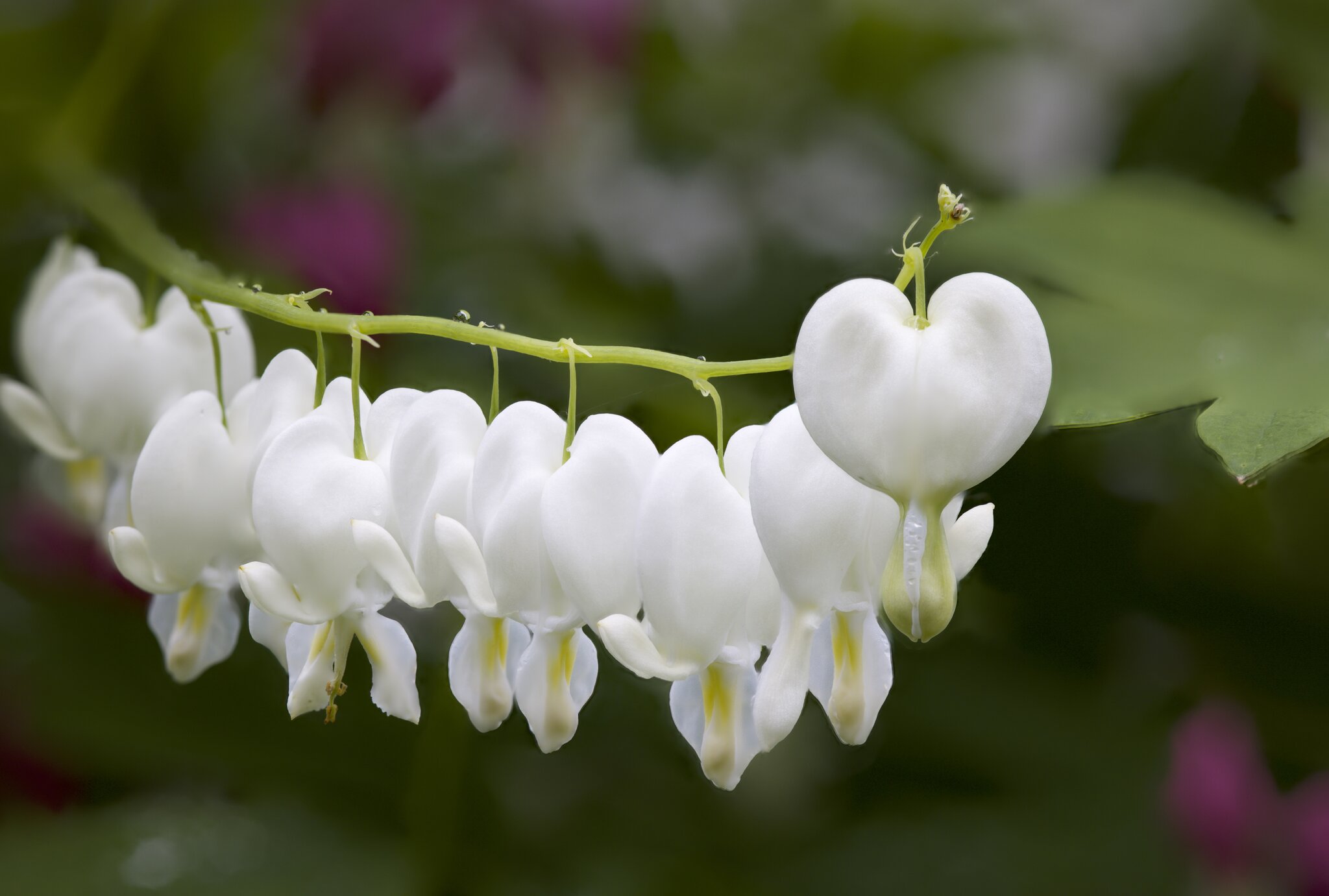 2025-05-25 12-16-22 (B,R1,S10).jpeg