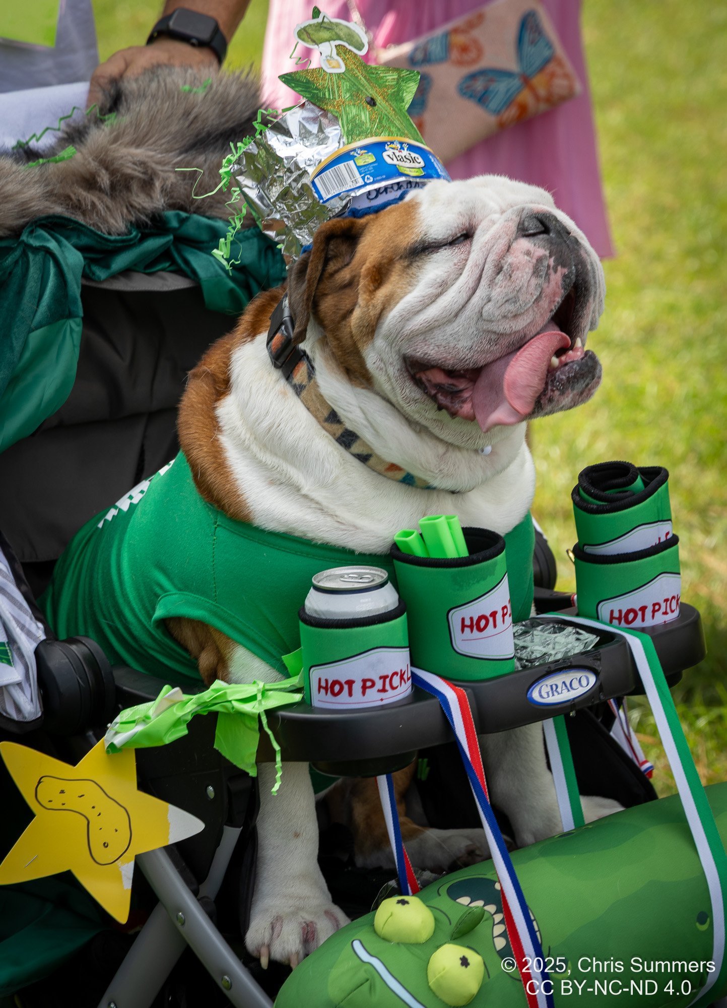 2025-050-056 Kingwood Pickle Festival.jpg