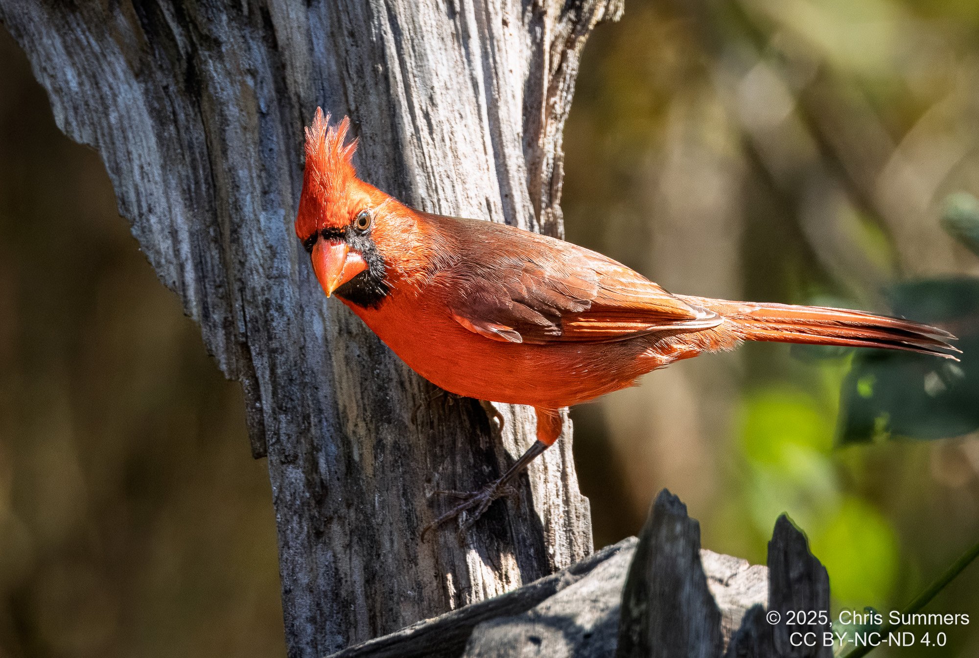 2025-056-076 Lake Livingston State Park trip-2.jpg