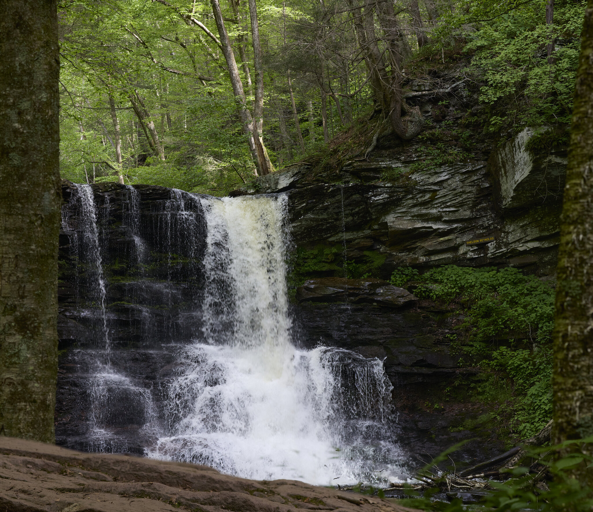 2025-06-08 09-24-27 (B,R3,S5).jpg