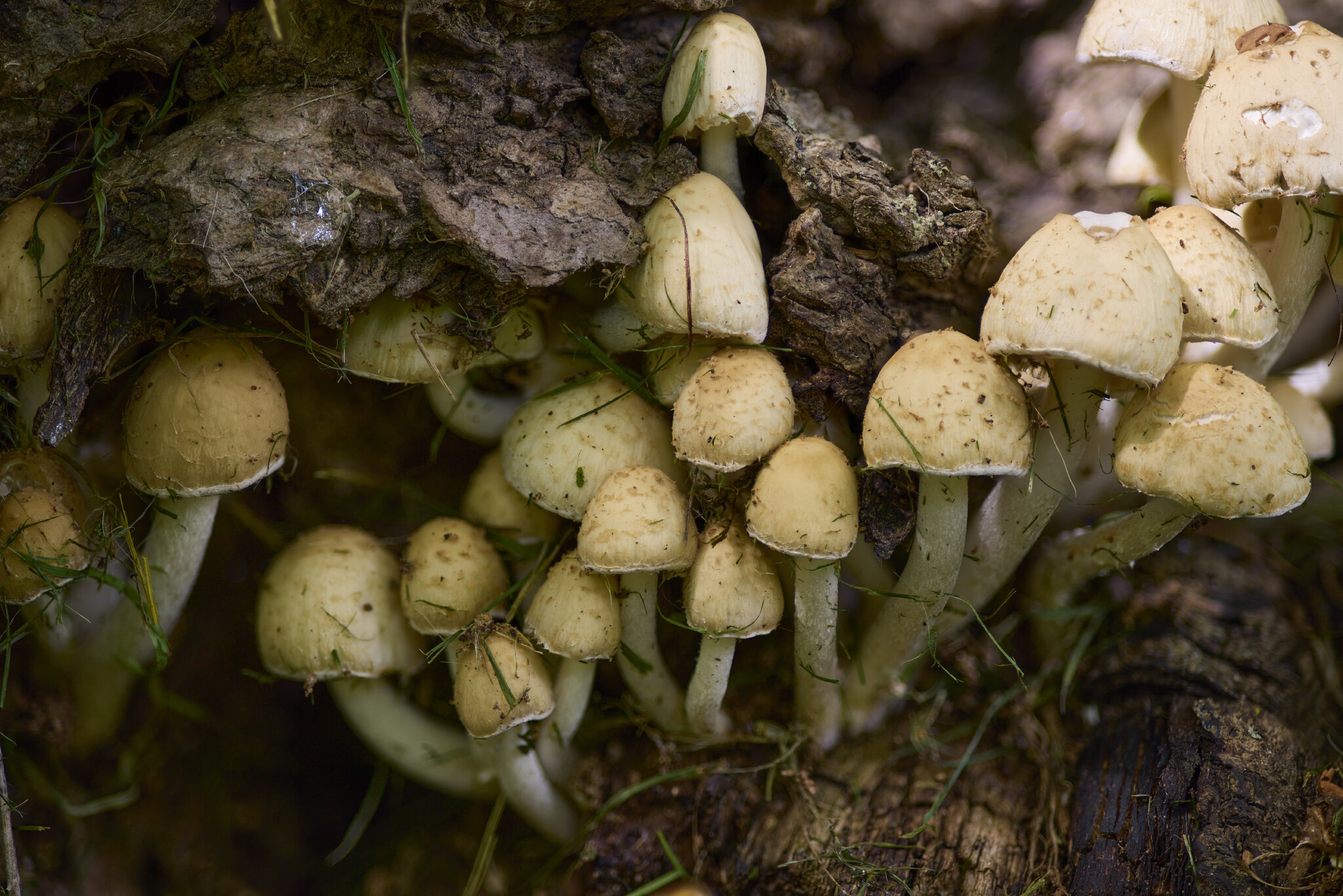 2025-06-18 16-08-20 (B,R11,S5).jpg