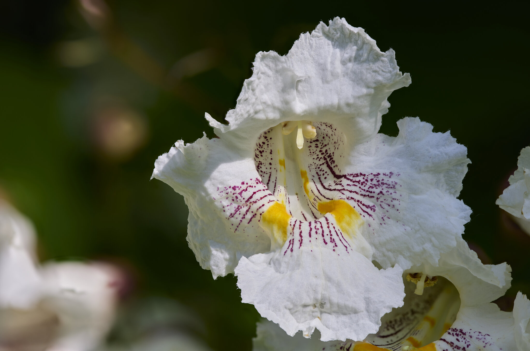 2025-06-21 09-58-57 (B,R11,S5).jpg