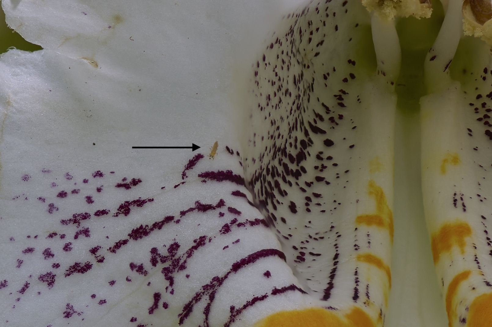 2025-06-21 11-00-44 (B,R11,S5).jpg