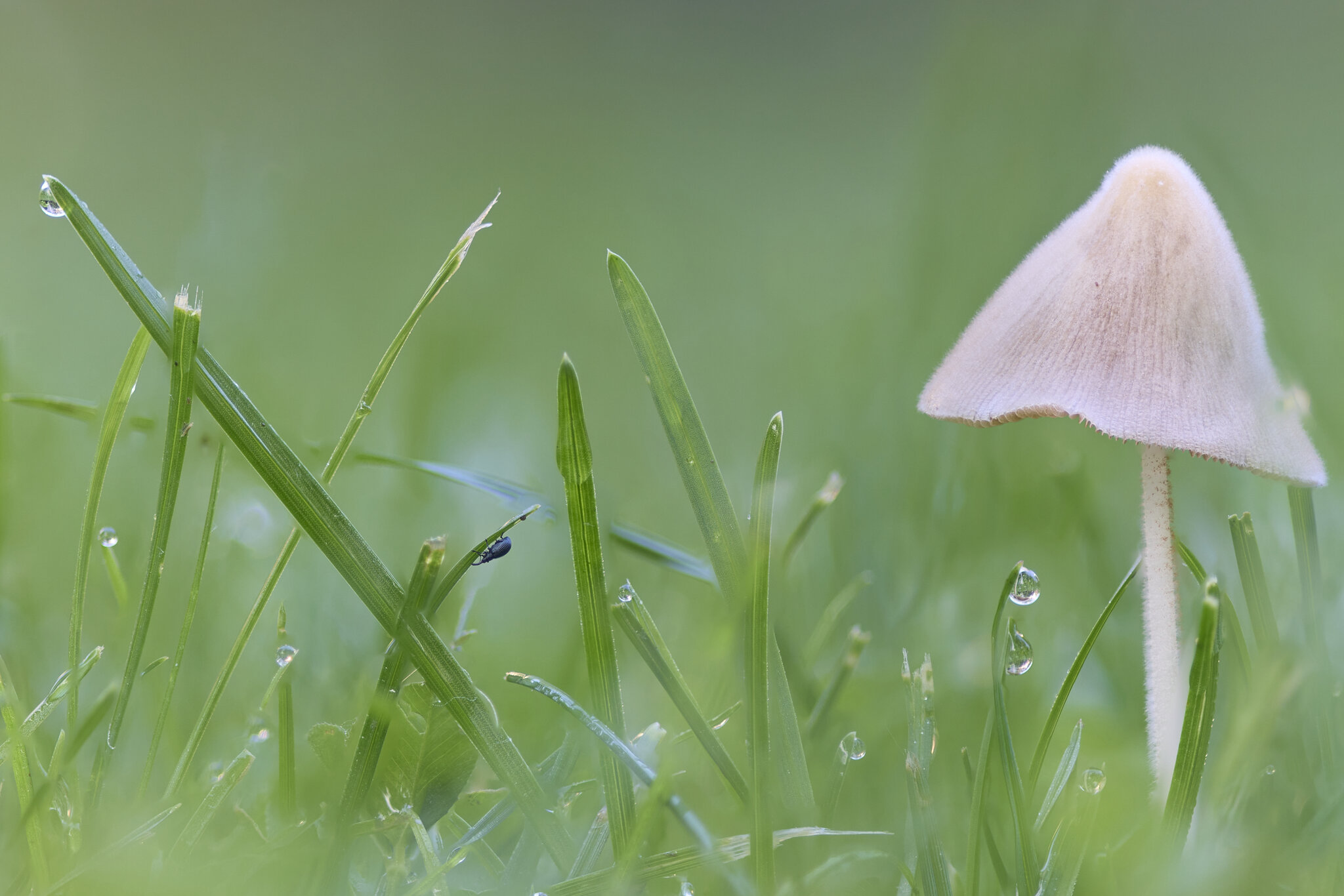 2025-06-23 07-04-13 (B,R11,S5).jpg