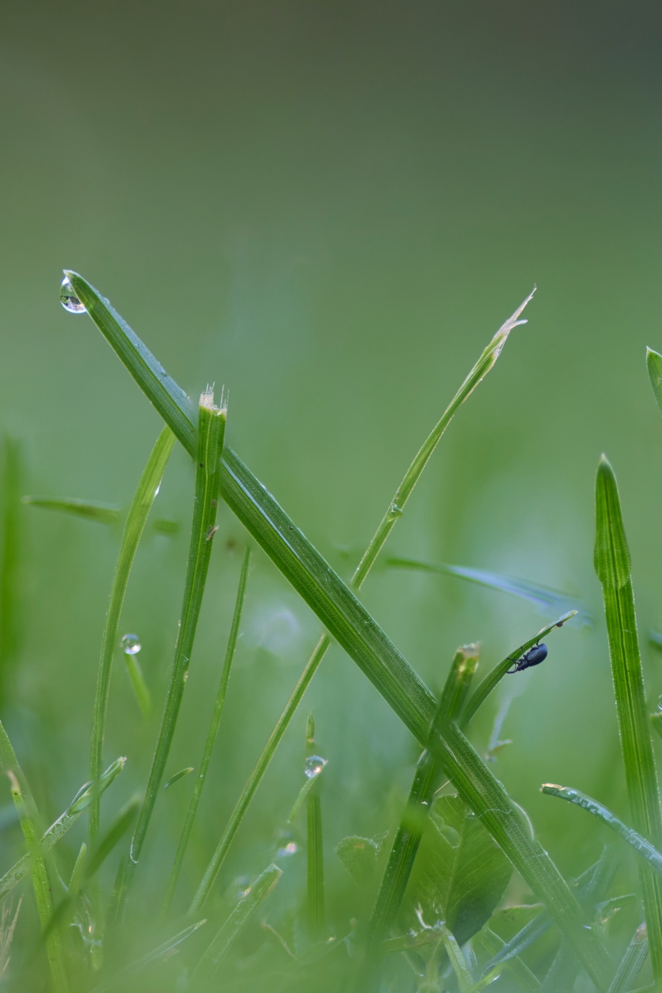 2025-06-23 07-04-13 (B,R11,S5).jpg