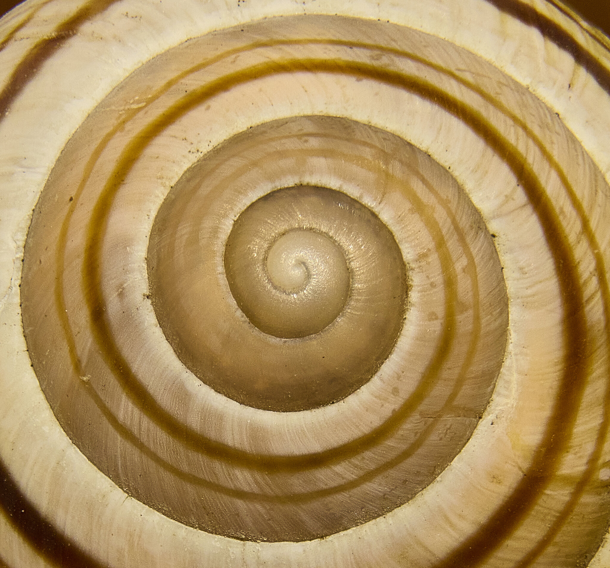 2025-07-13 13-29-39 (B,R16,S5).jpg