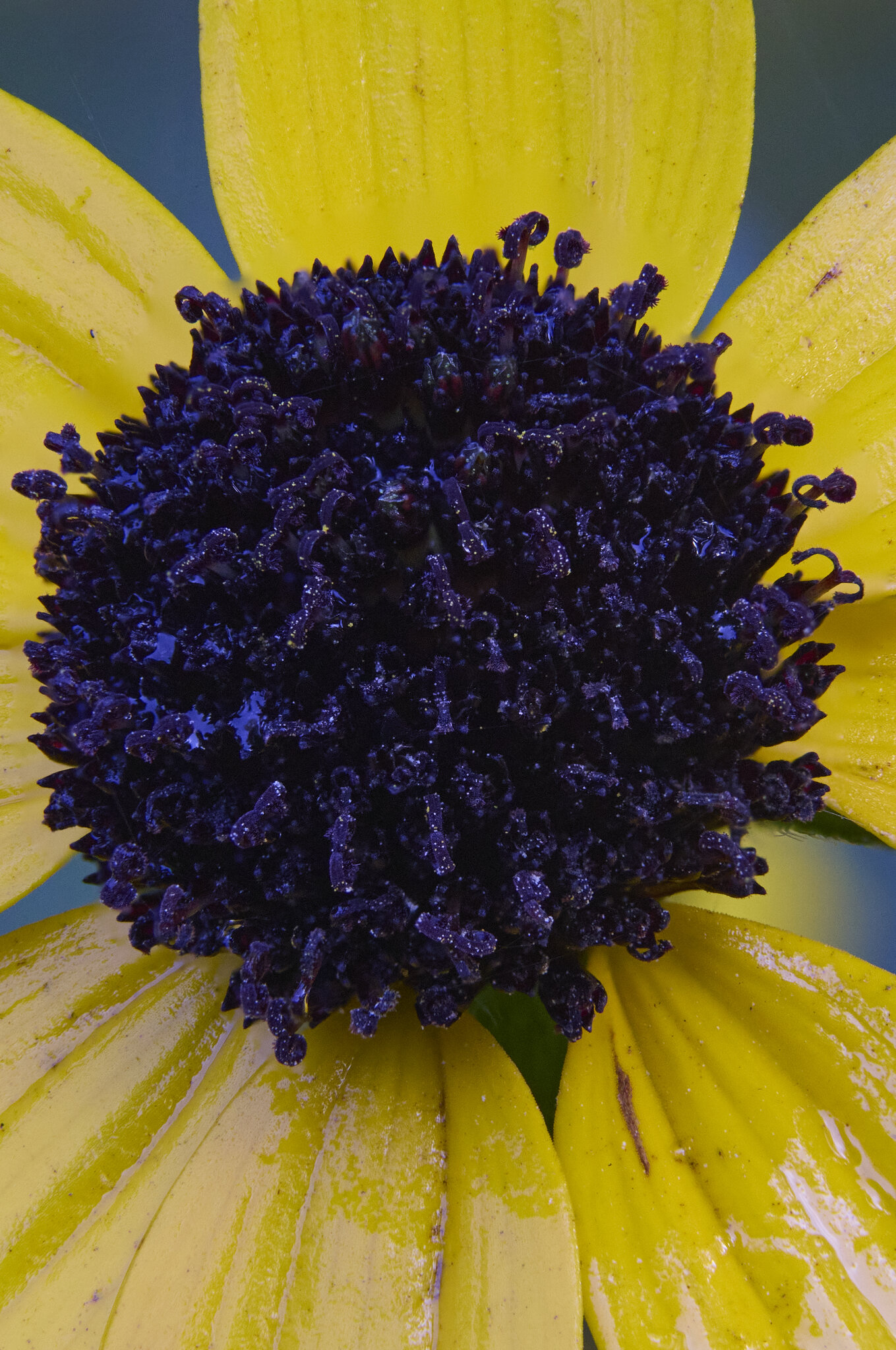 2025-08-29 09-23-50 (B,R16,S5).jpg