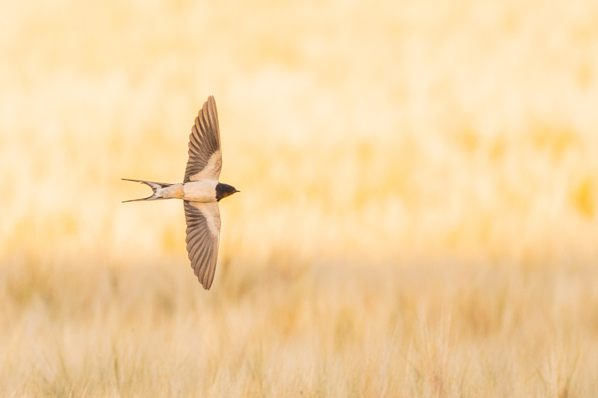 20250701 MM 0302.jpeg