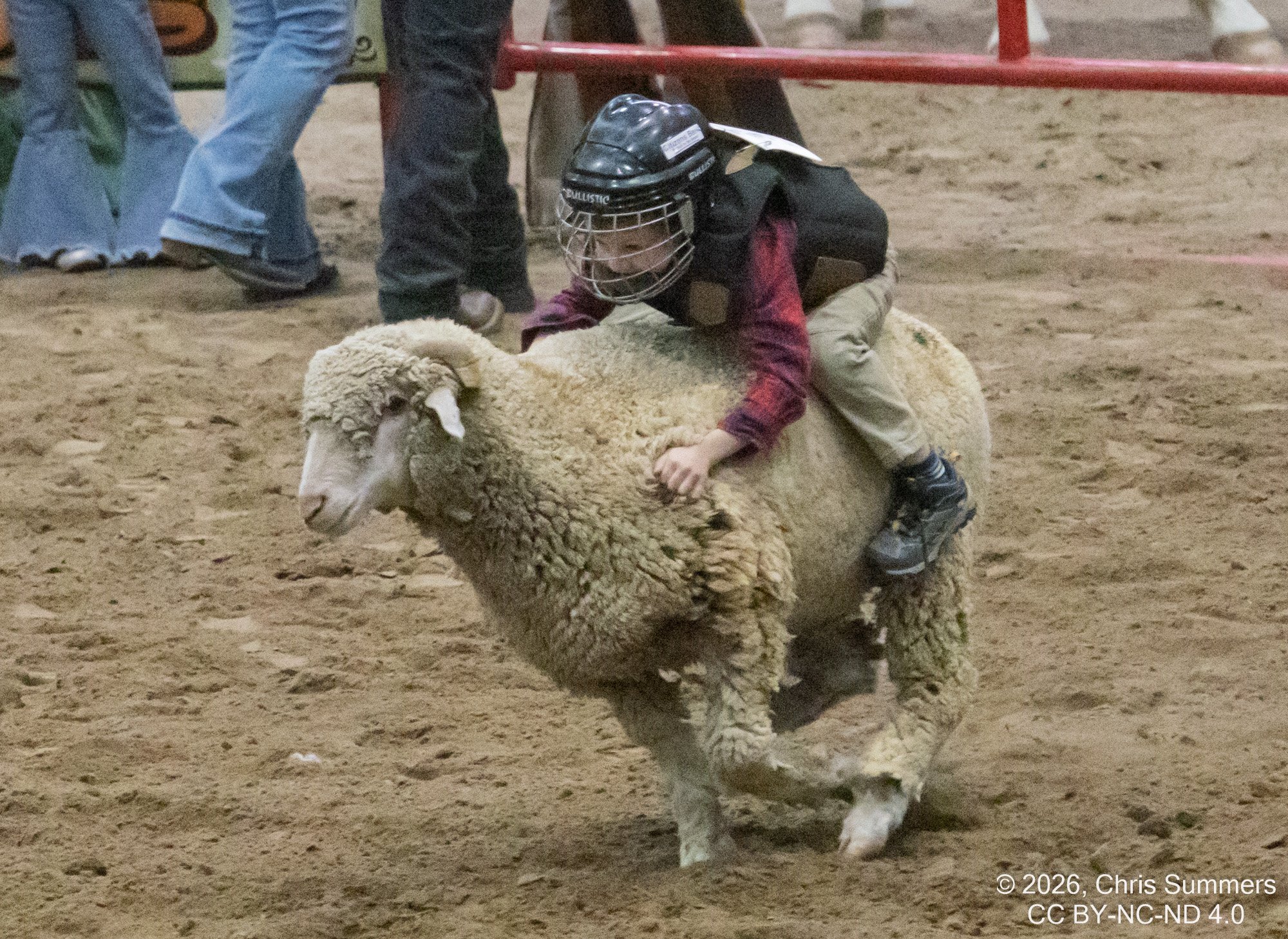 2026-004-094 Humble rodeo.jpg