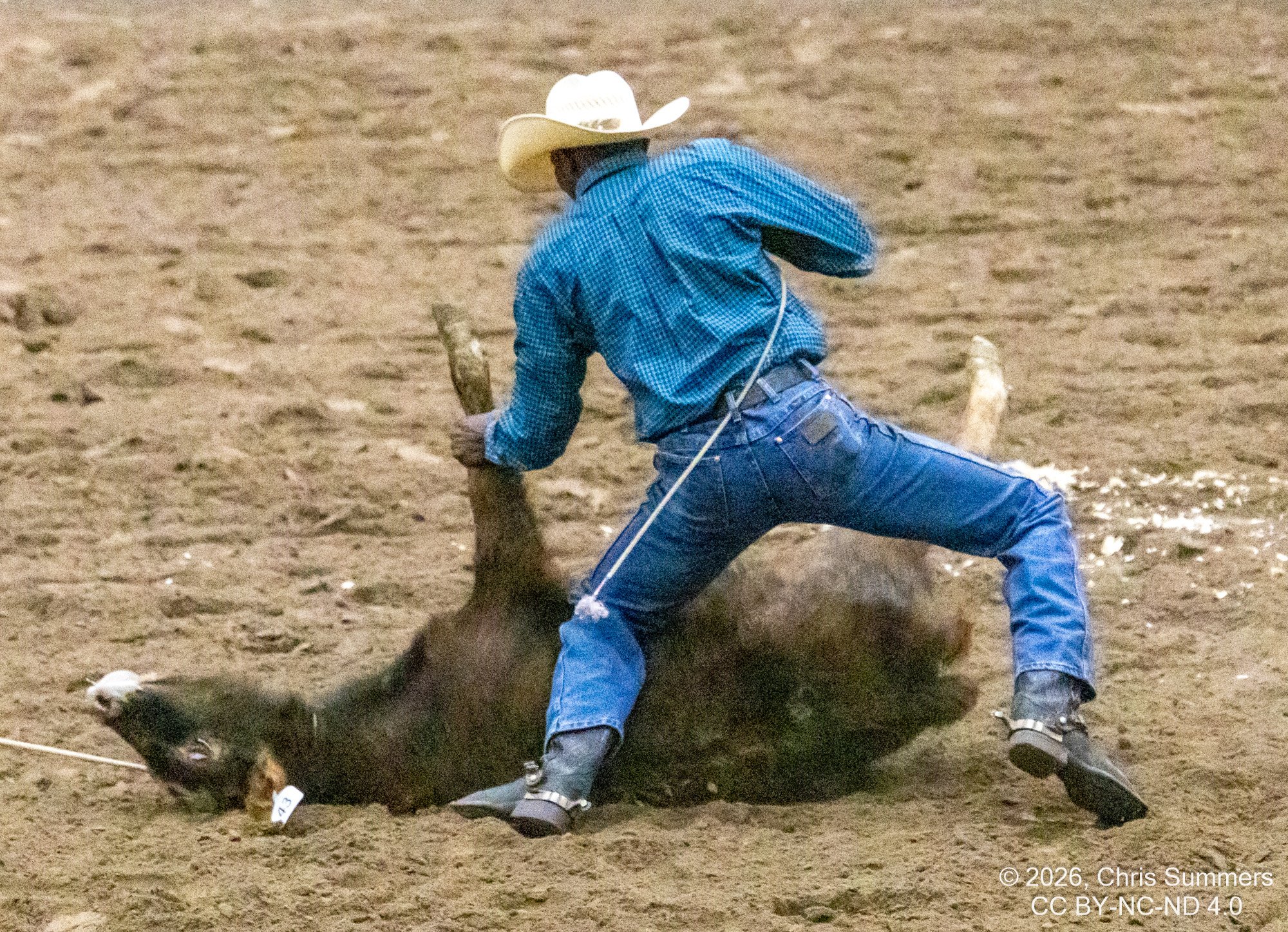 2026-004-158 Humble rodeo.jpg