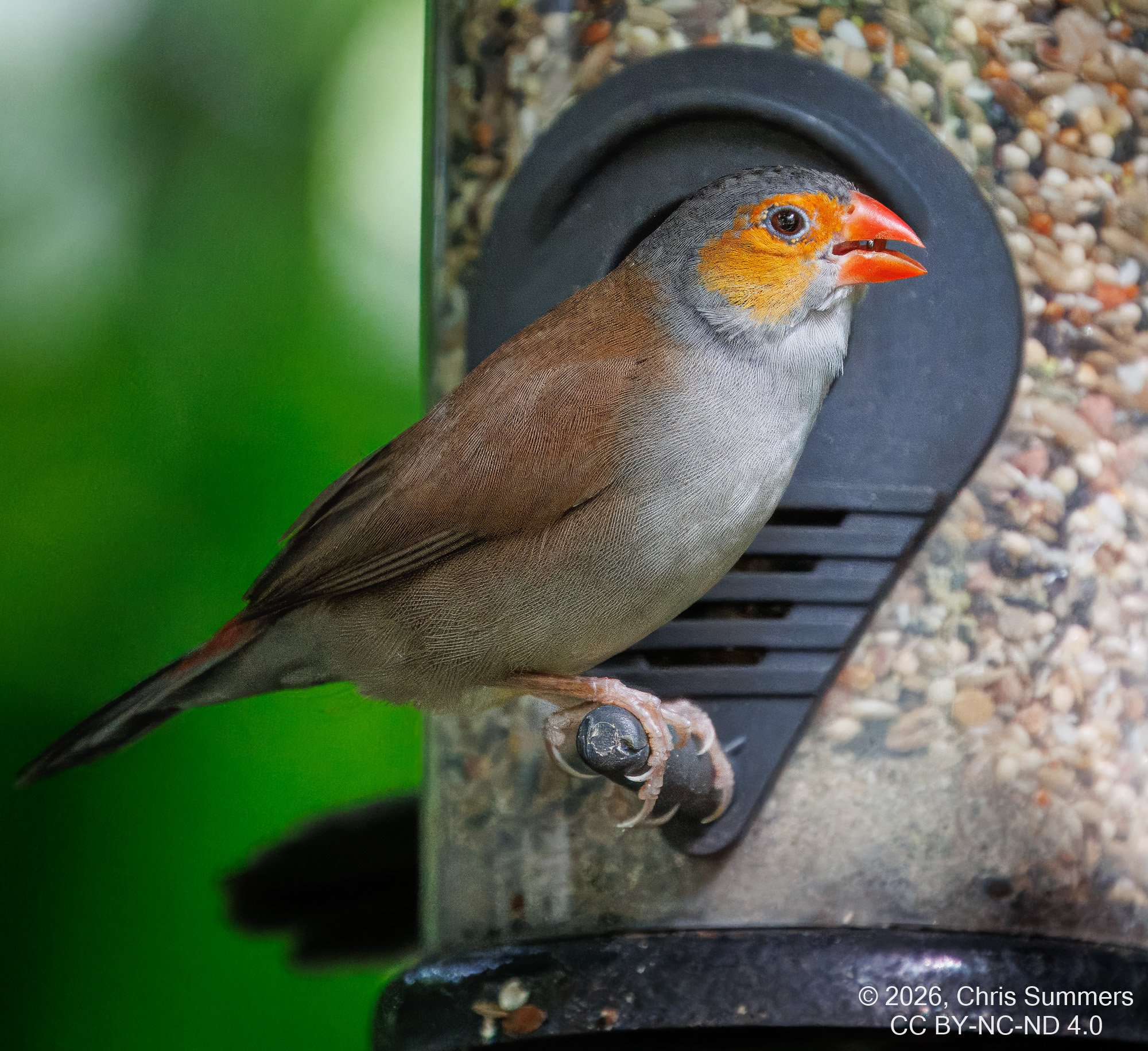 2026-016-029 KWPC Cockrell Butterfly Center trip-2.jpg