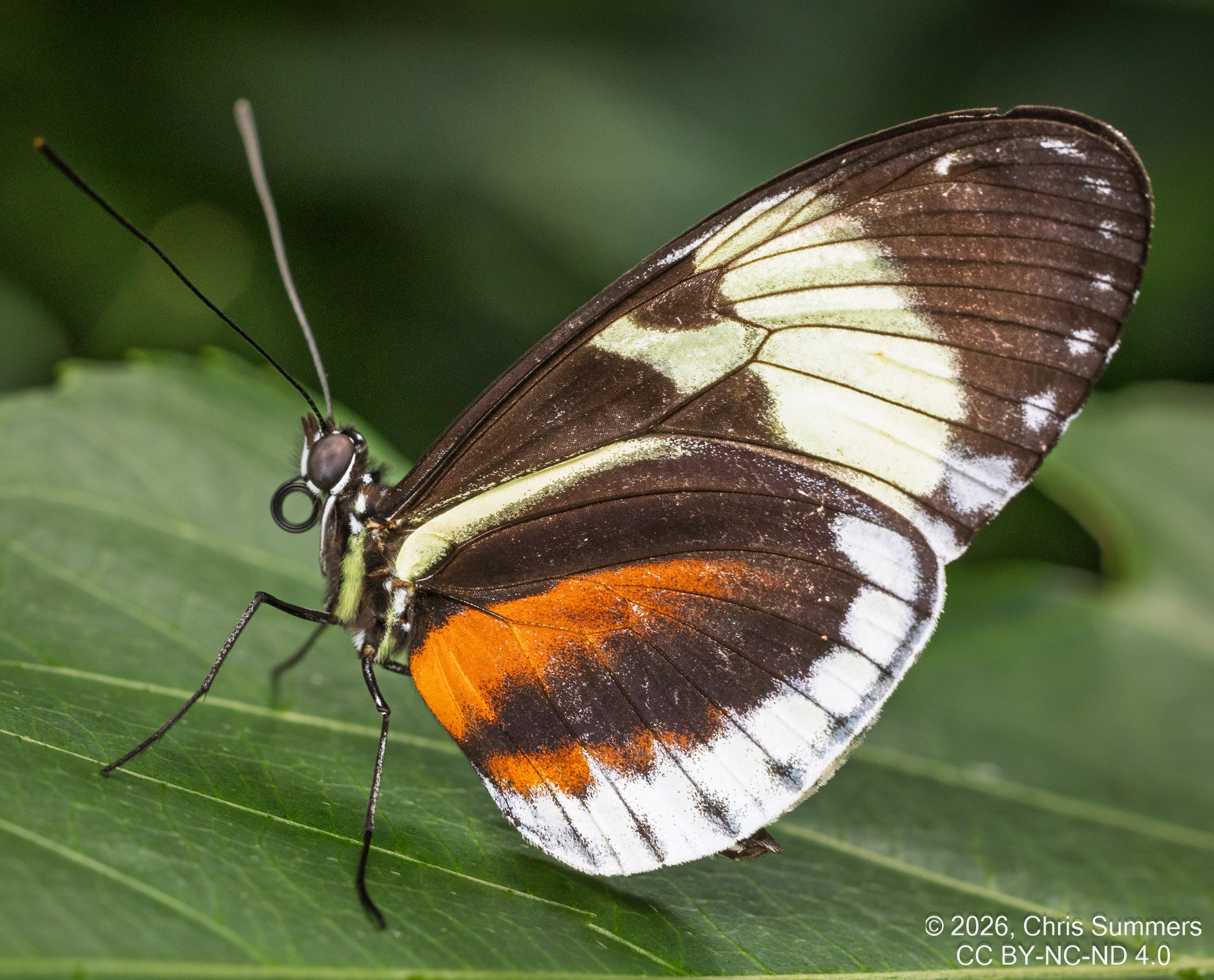 2026-016-098 KWPC Cockrell Butterfly Center trip.jpg