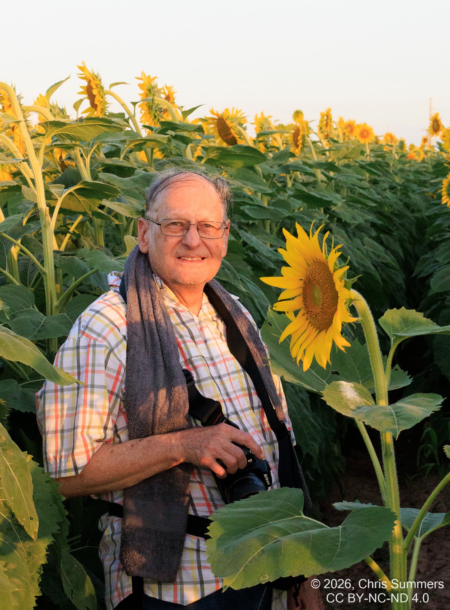 2026-028-133 KWPC sunflowers.jpg