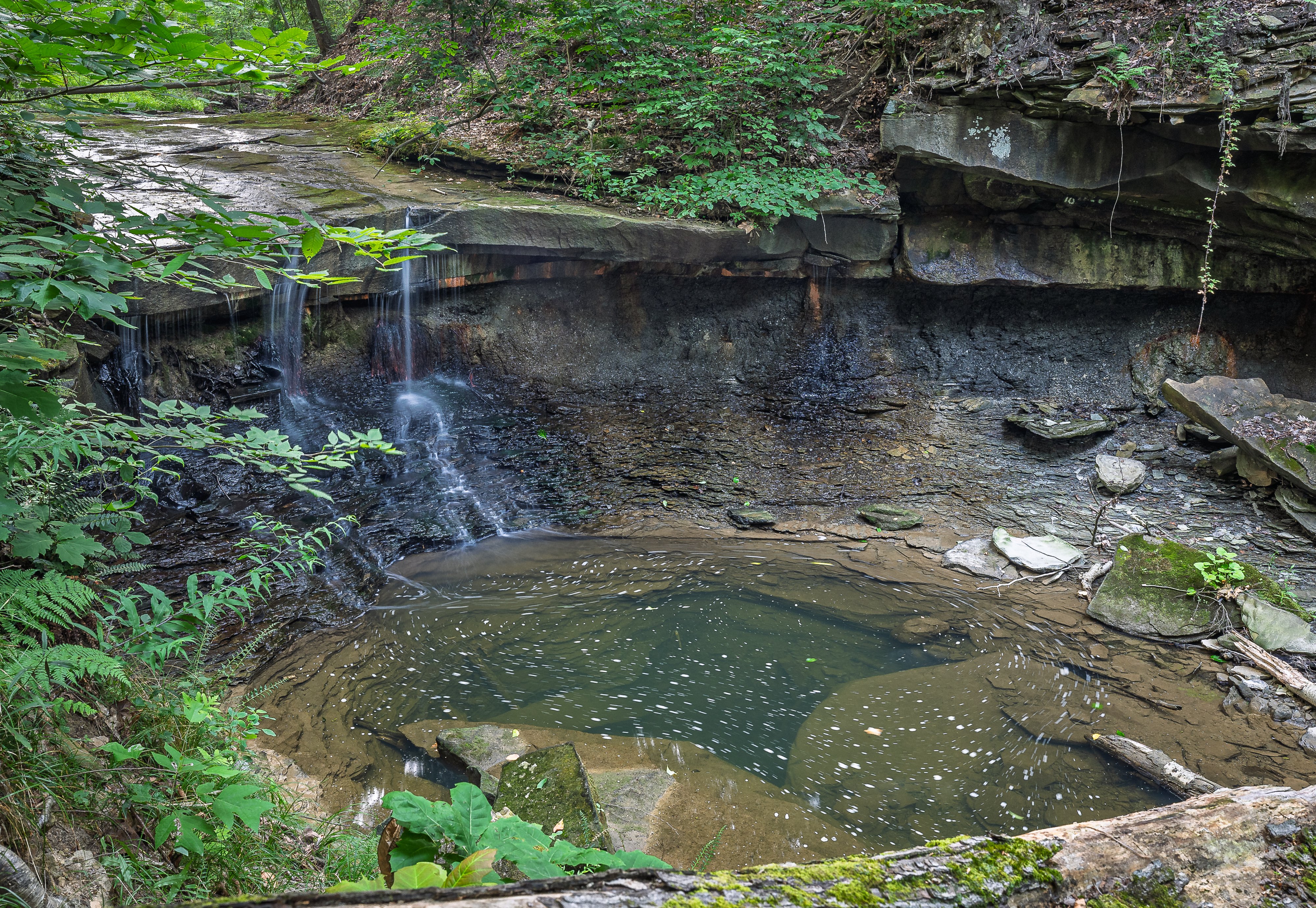 20260727-Deer Lick Falls-0010.jpg