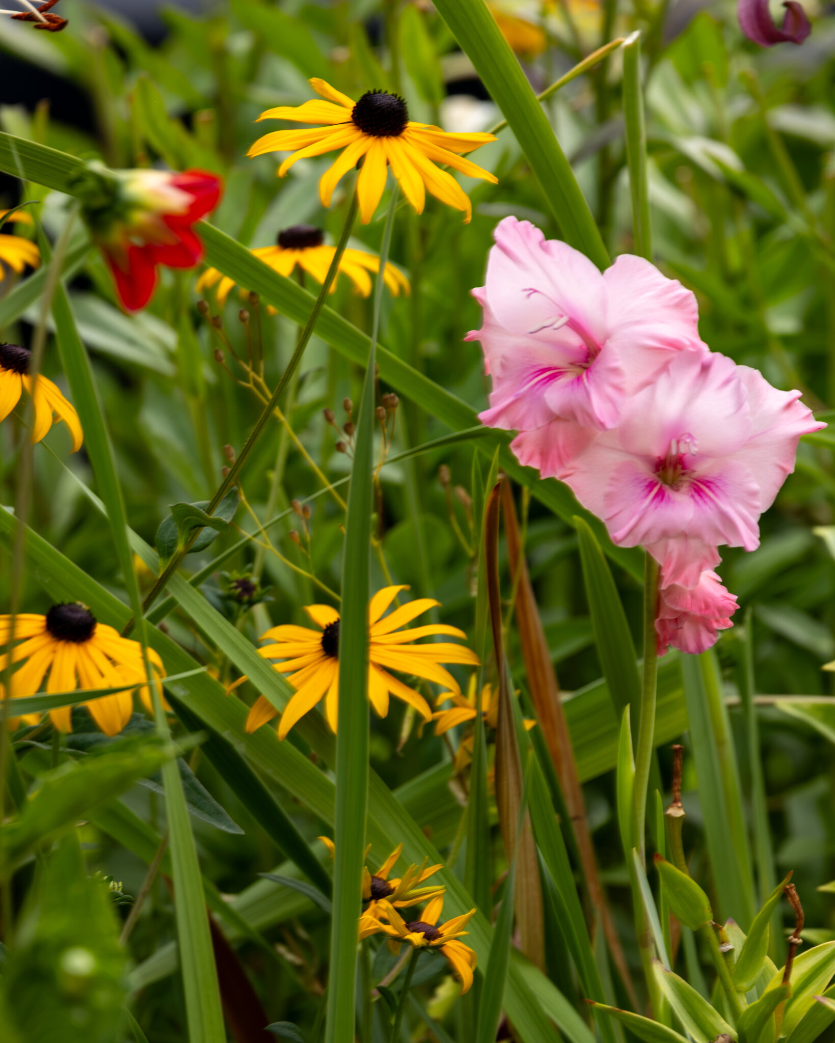 4P9A7182.jpg