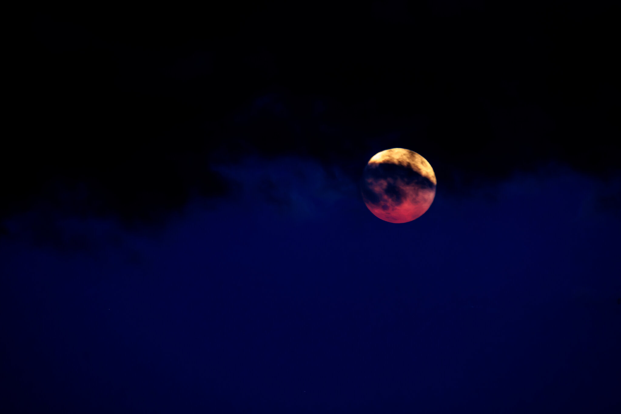 4P9A8919.jpg
