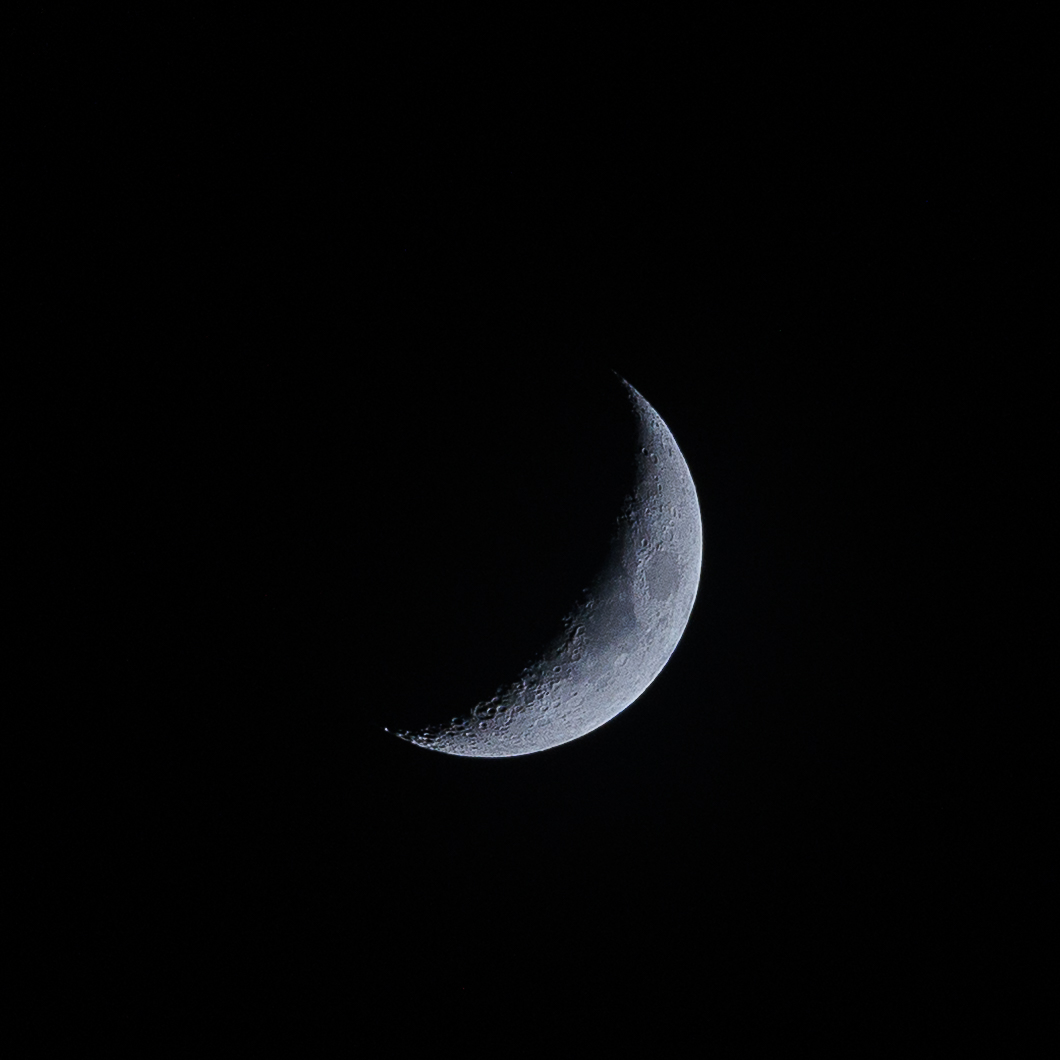 4P9A9986.jpg