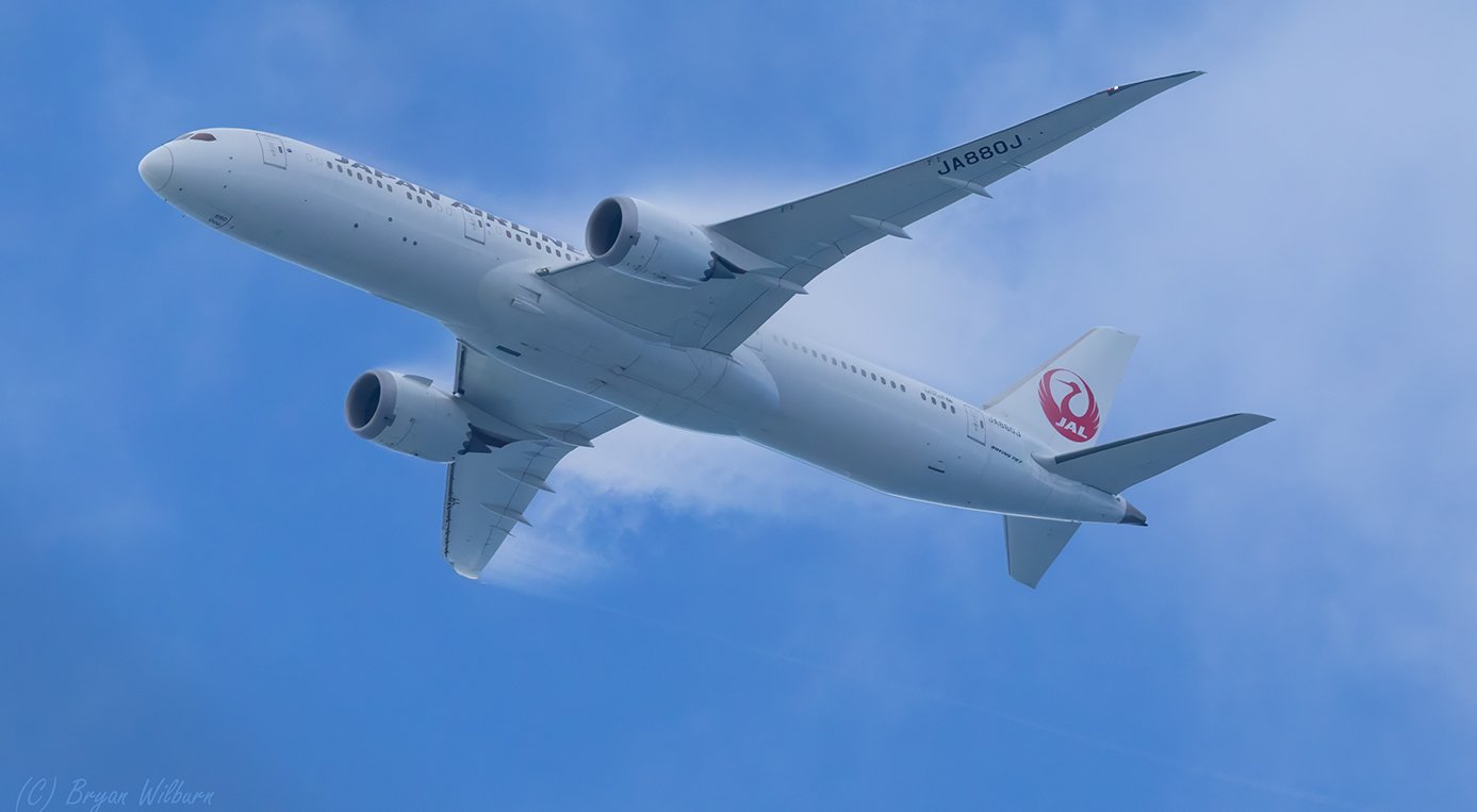 _17A5042 JAL 787 JA880J Ki Olina HI R5MkII 100-500 500mm f10 5000th ISO2500 Cr SM.jpg