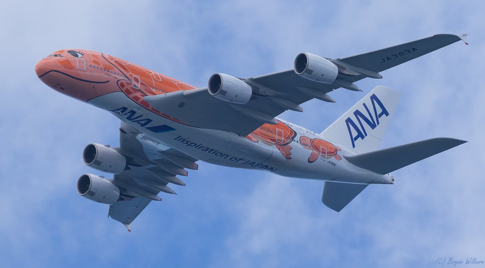 _17A5284 ANA A380 JA383A Turtle Ki Olina HI R5MkII 100-500 500mm f10 5000th ISO2500 Cr SM.jpg