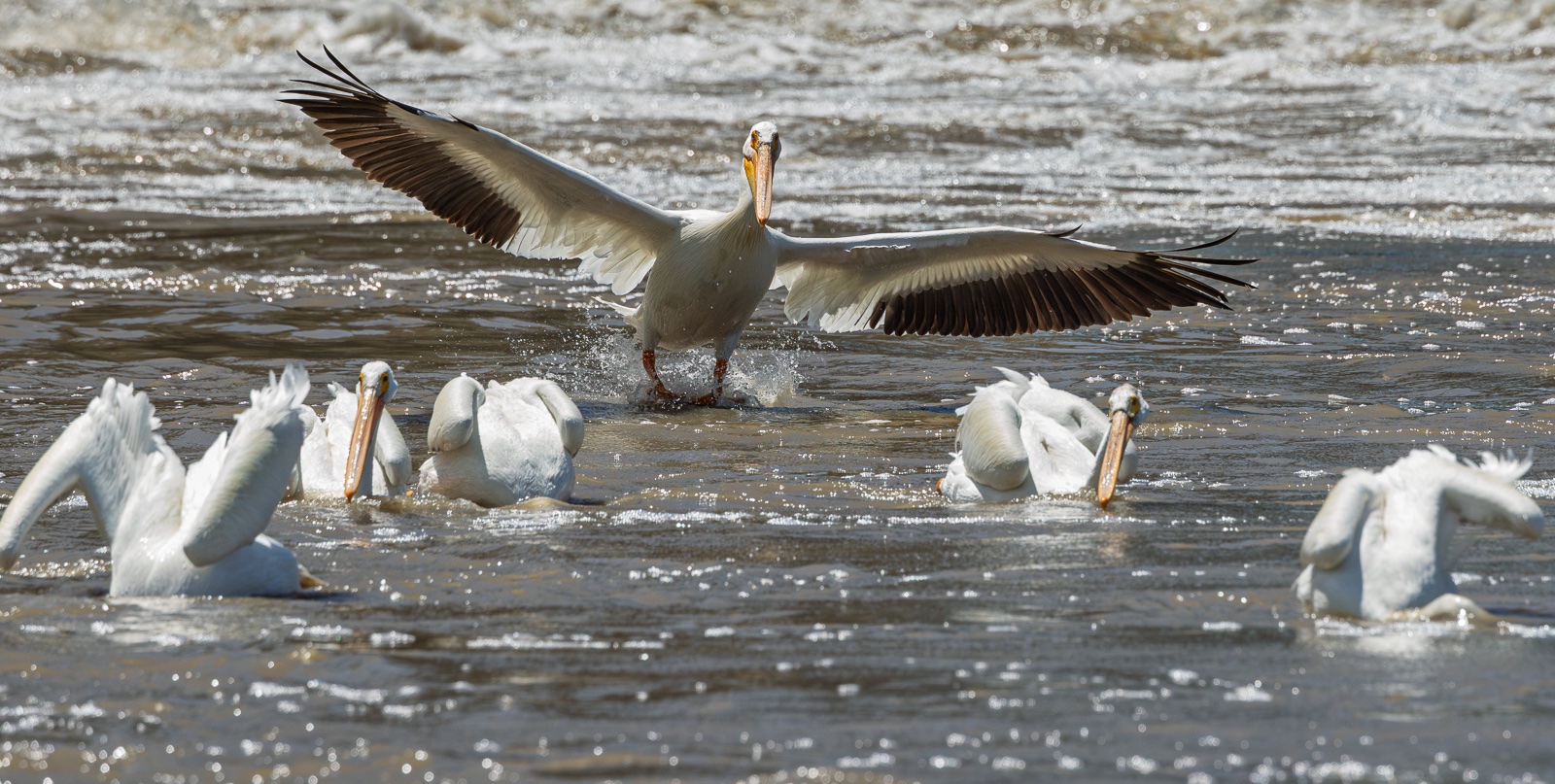 _73A9349.jpg