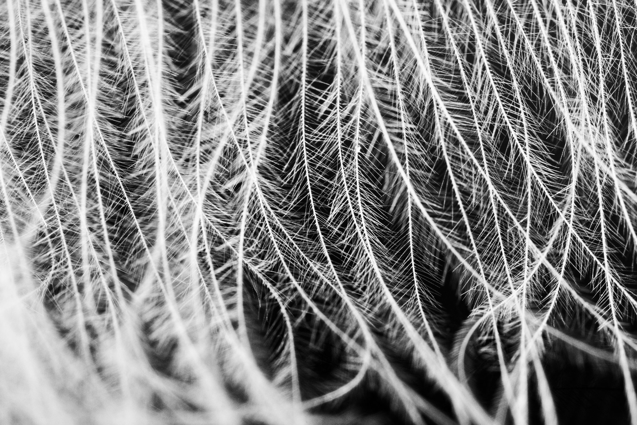 A1067CUPOTY_1 MSTR.jpg