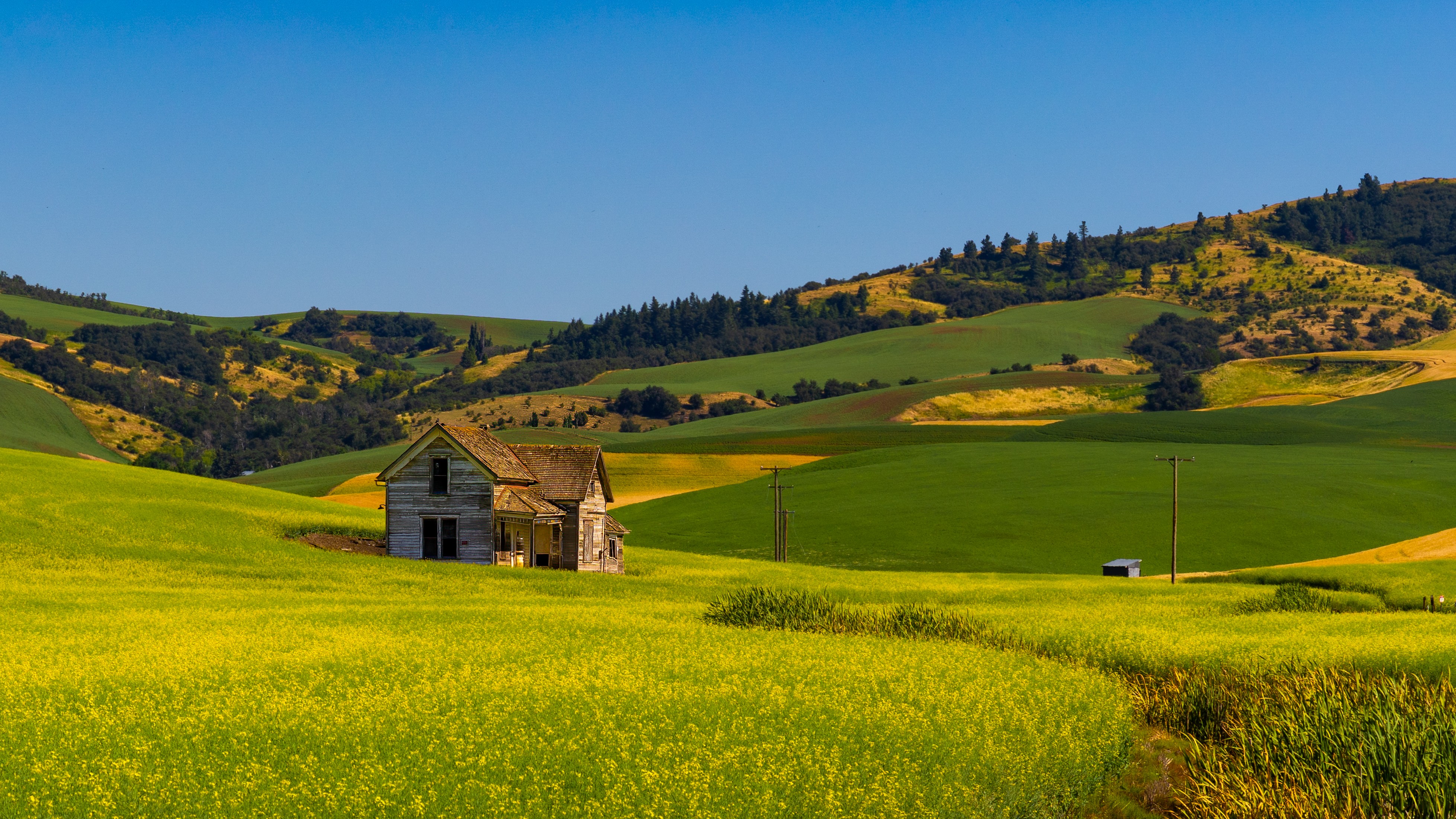 Abandoned House in the Palouse