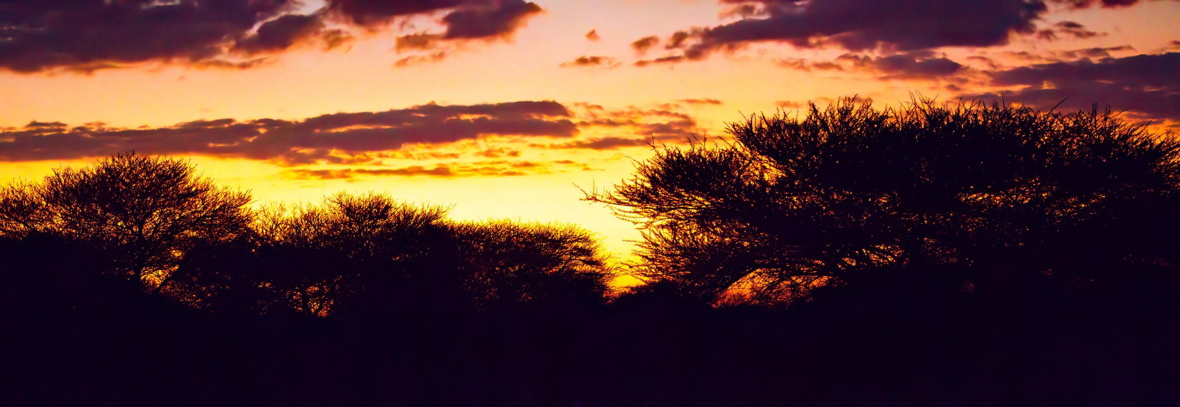 African sunset-2.jpg