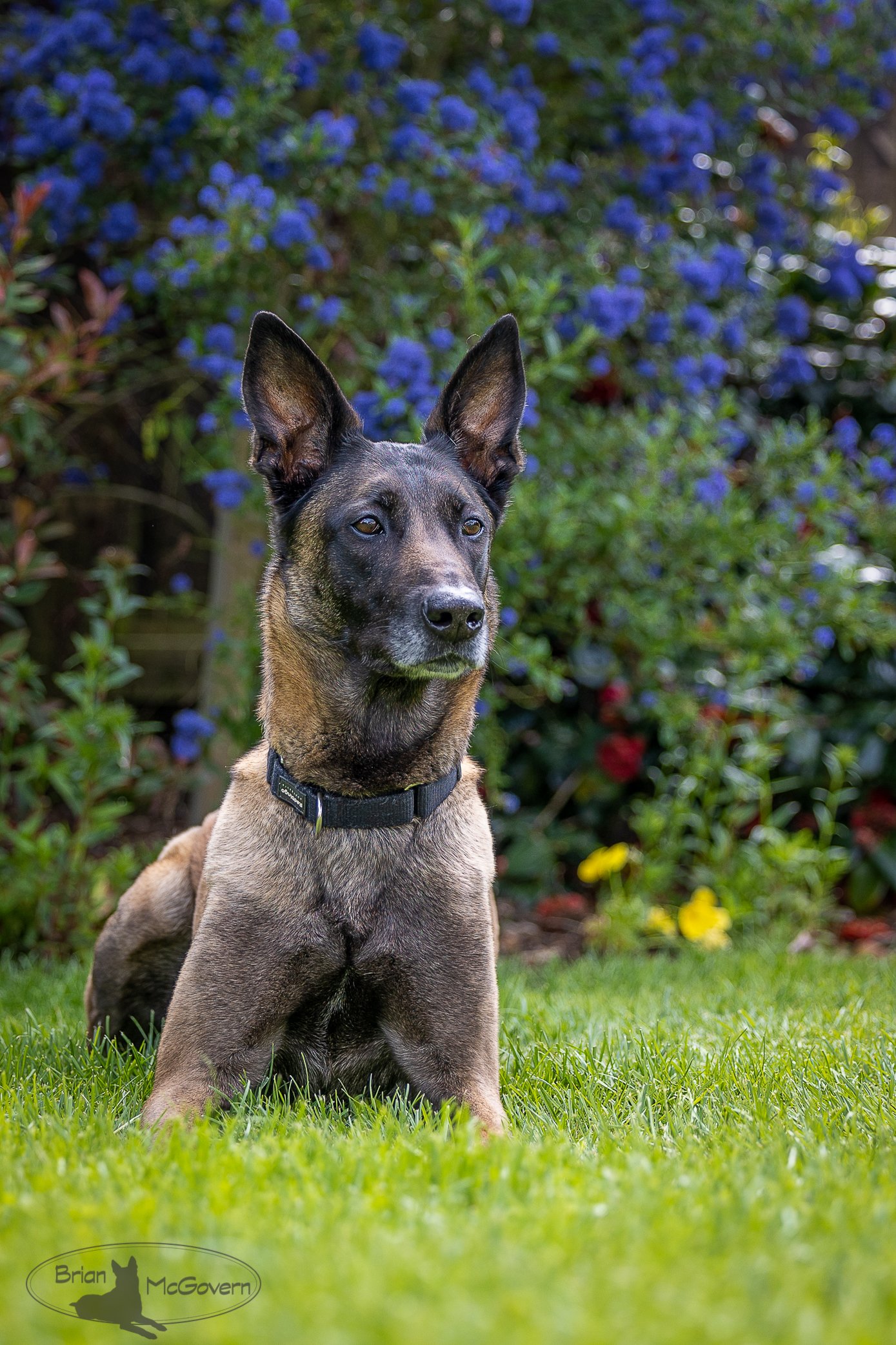 Ali in the garden