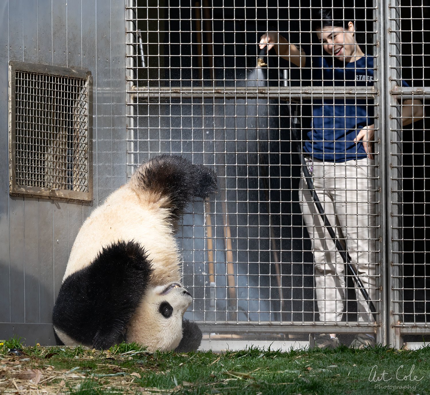 April ShowersSMALL.jpg