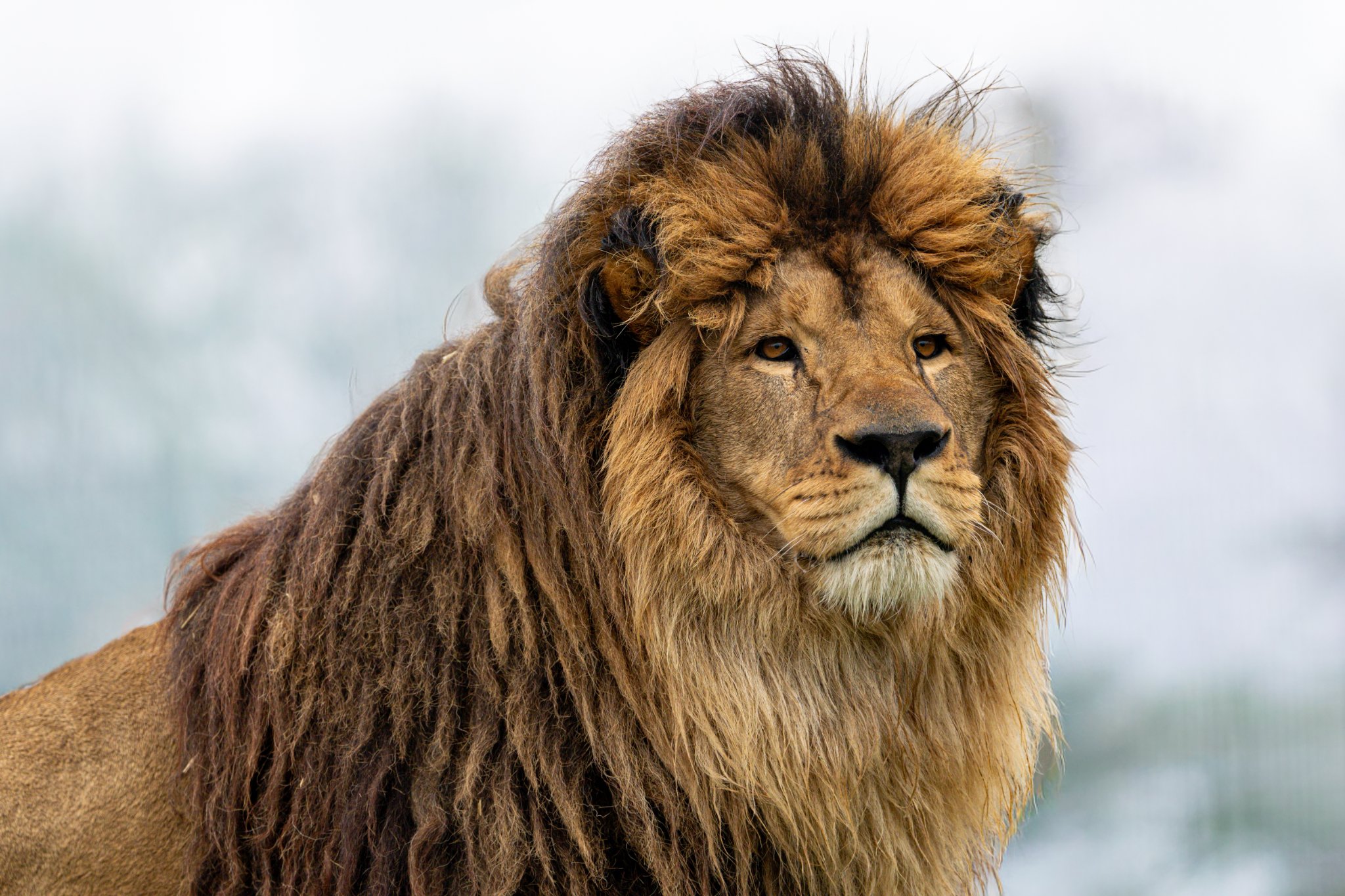 BCS 27-02-2026 0044.jpg