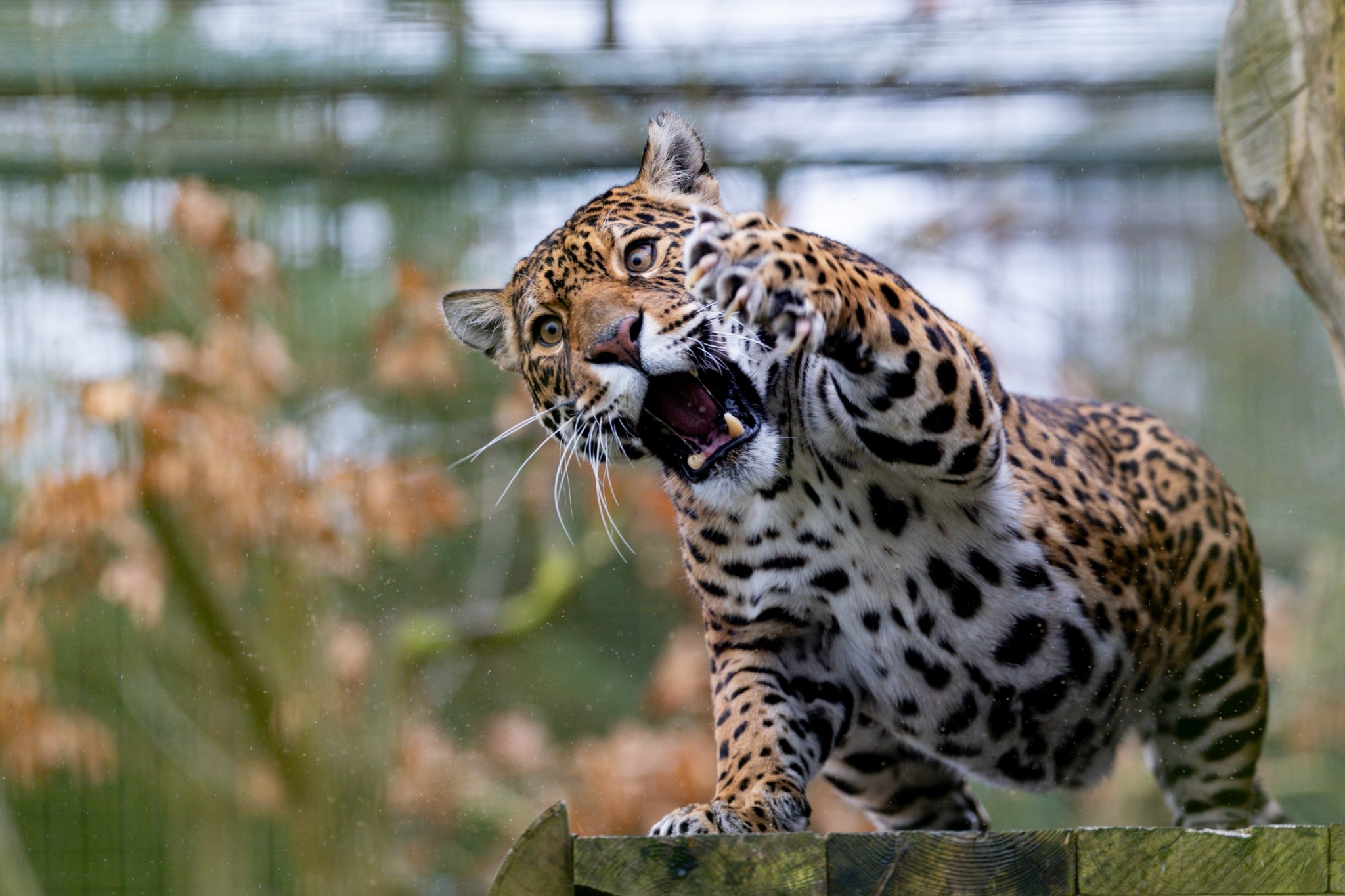 BCS 27-02-2026 0287.jpg