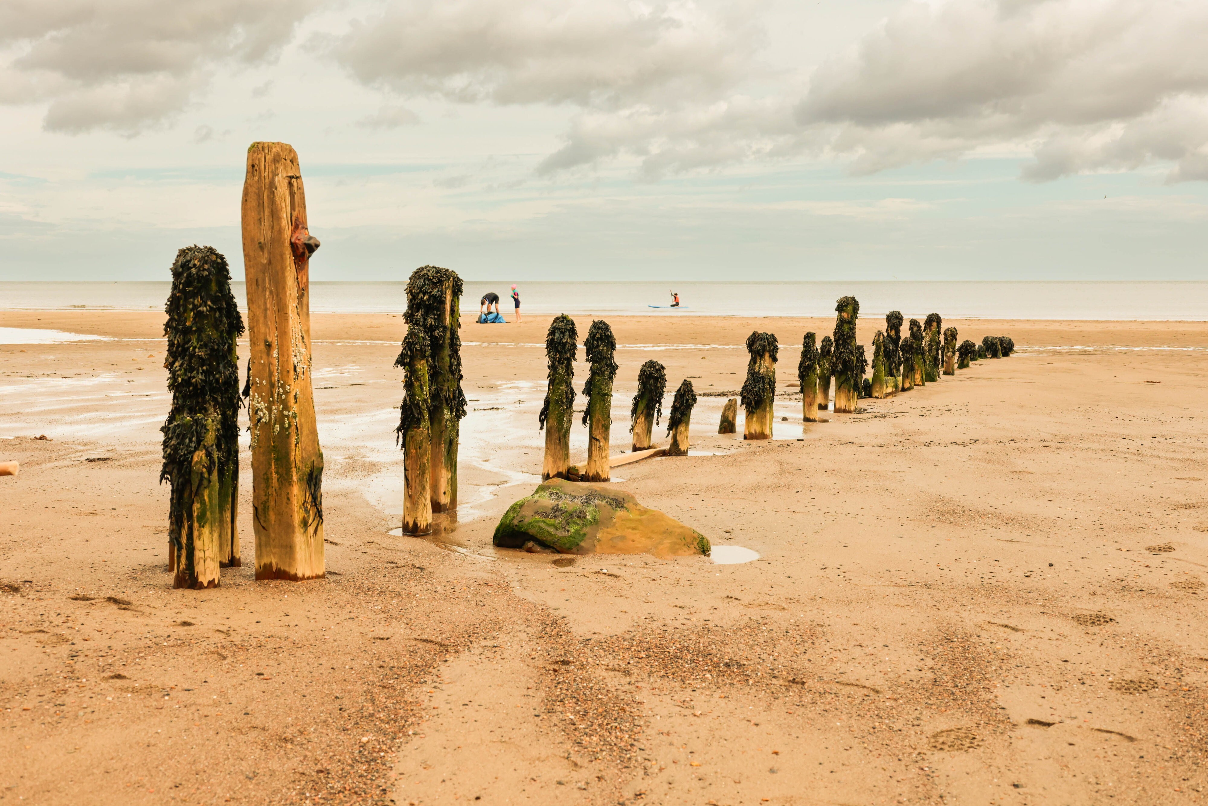 BEACH SANDSEND-6.jpg