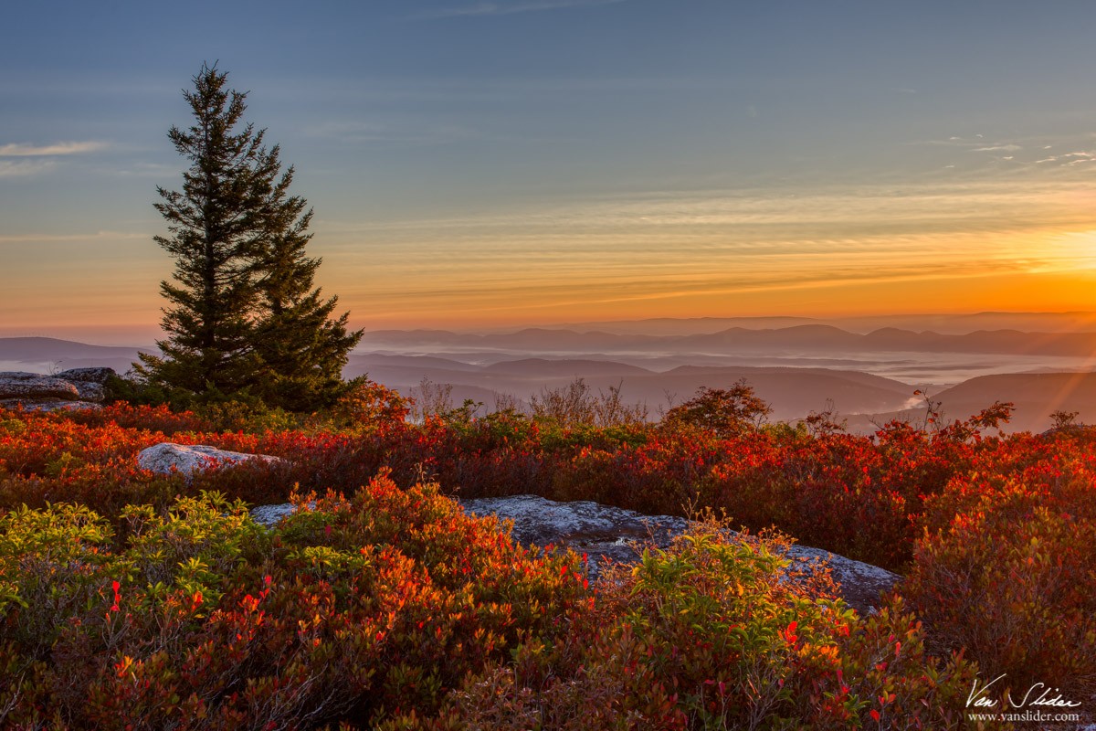 Bear Rocks Sunrise_1566XA Van Slider.jpg