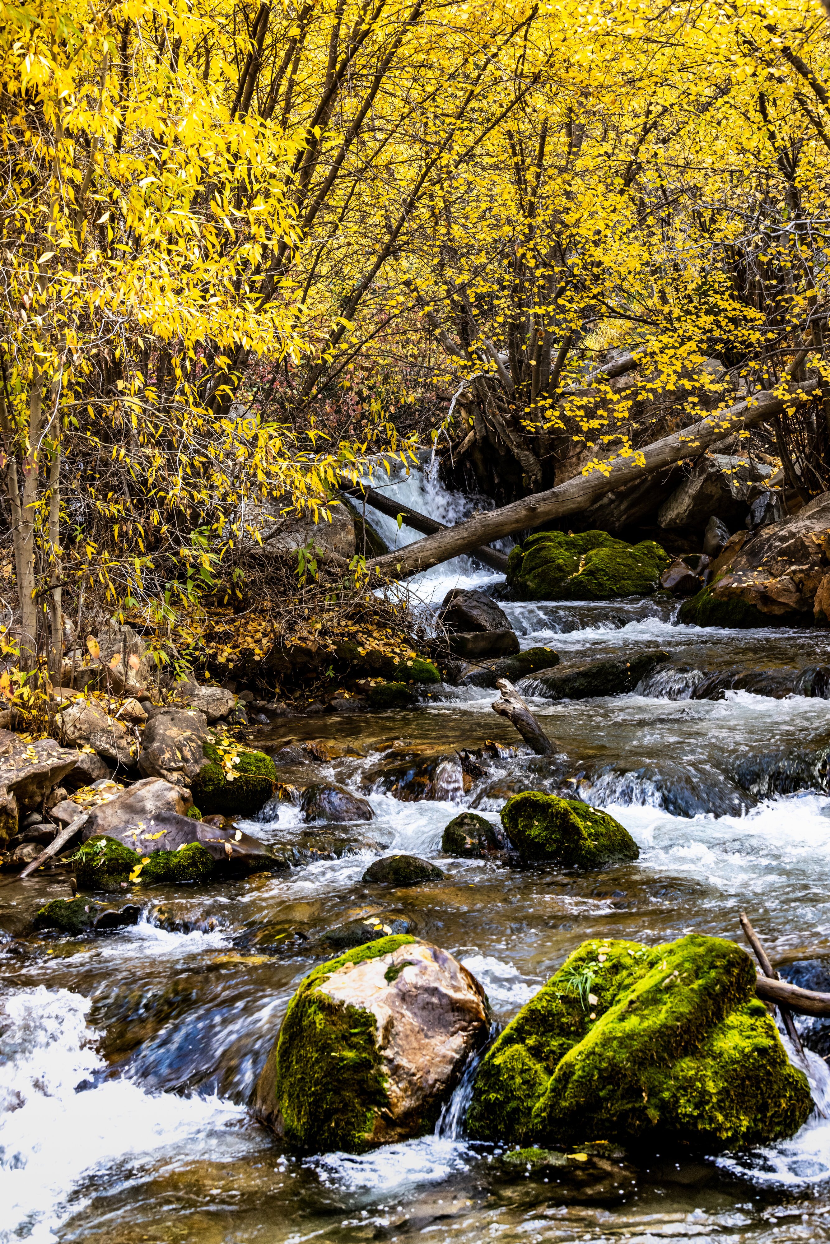 Big Cottonwood Canyon, UT