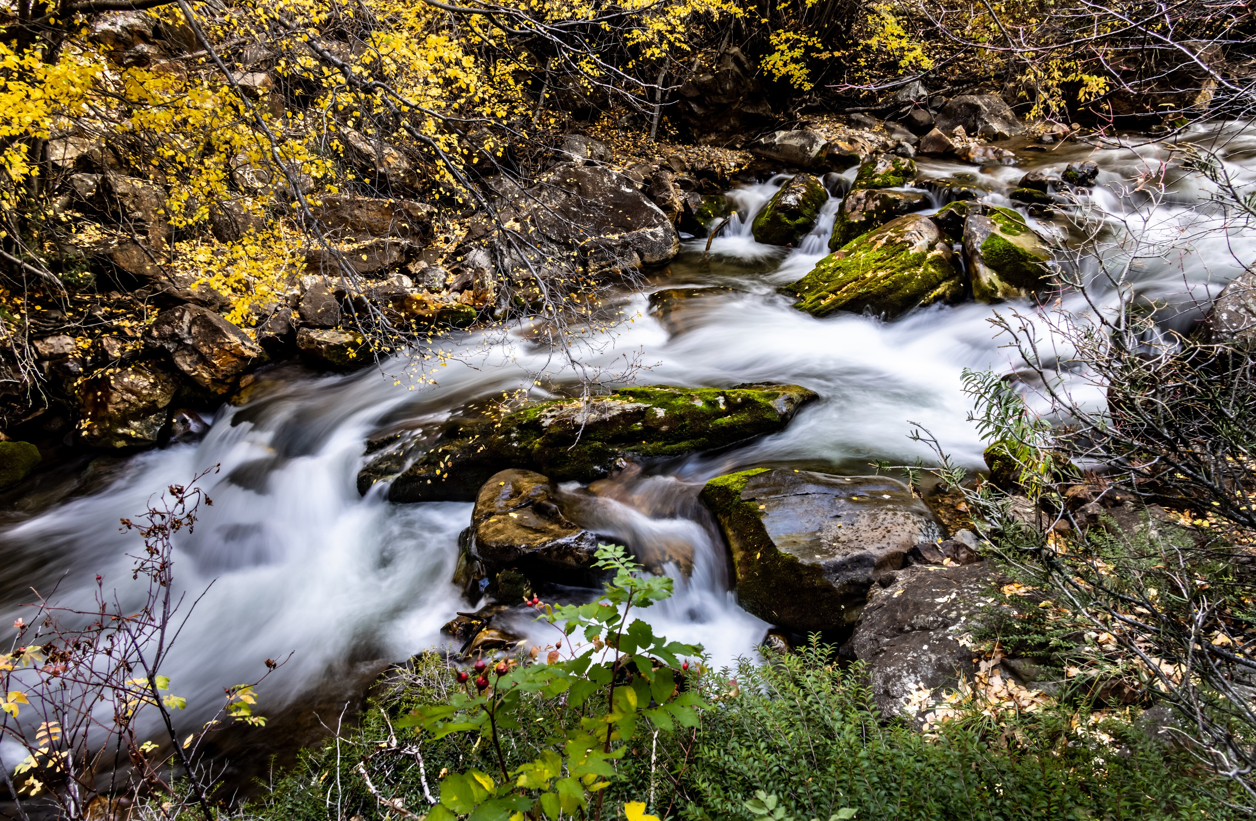 Big Cottonwood Canyon, UT