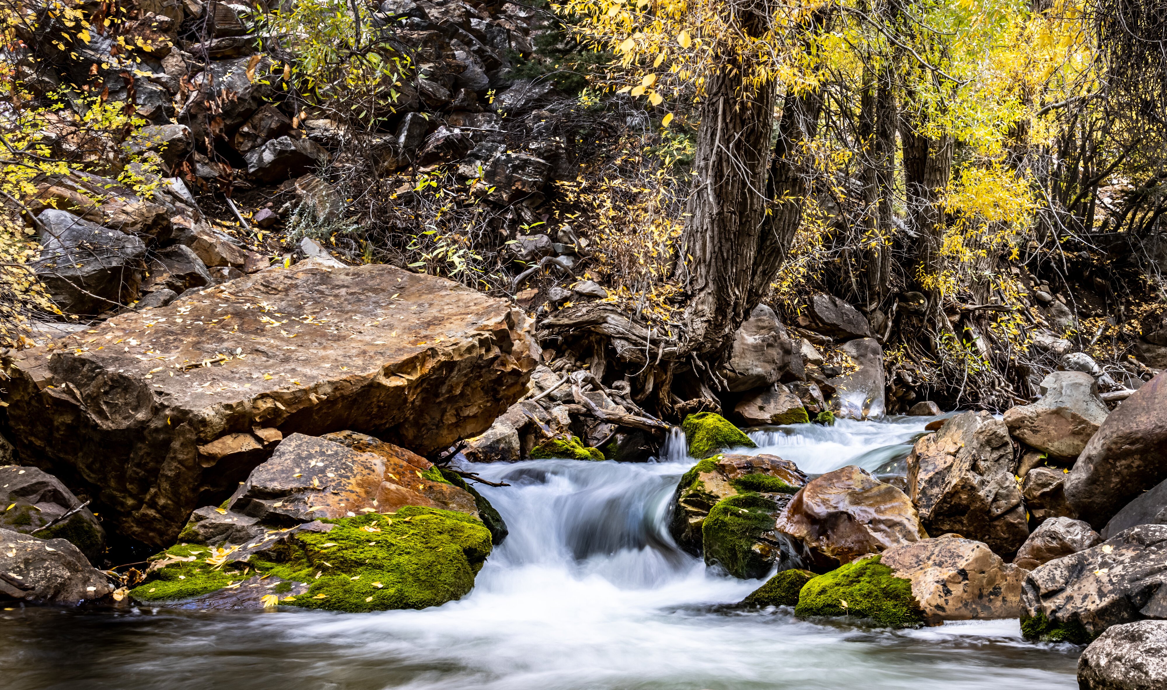 Big Cottonwood Canyon, UT