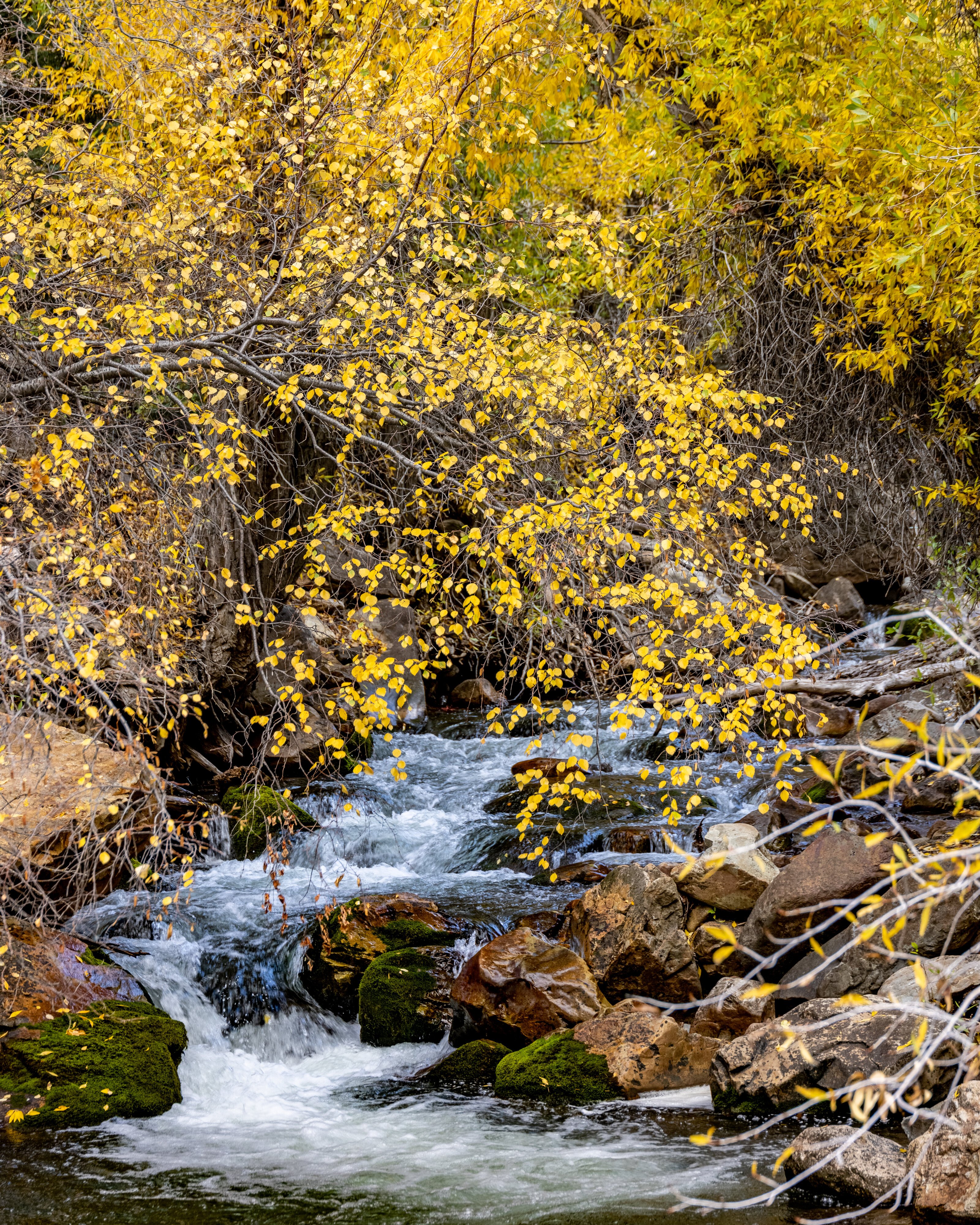 Big Cottonwood Canyon, UT