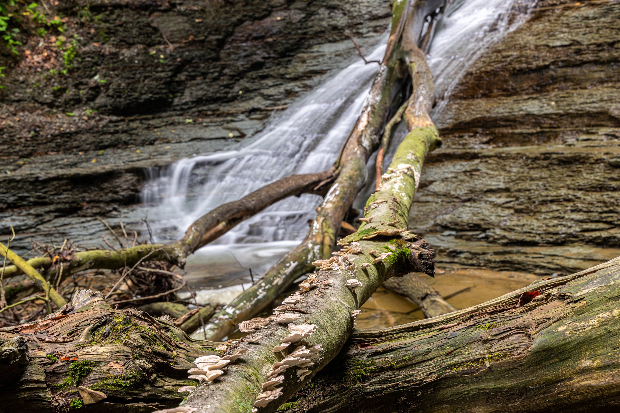Buttermilk Falls-3