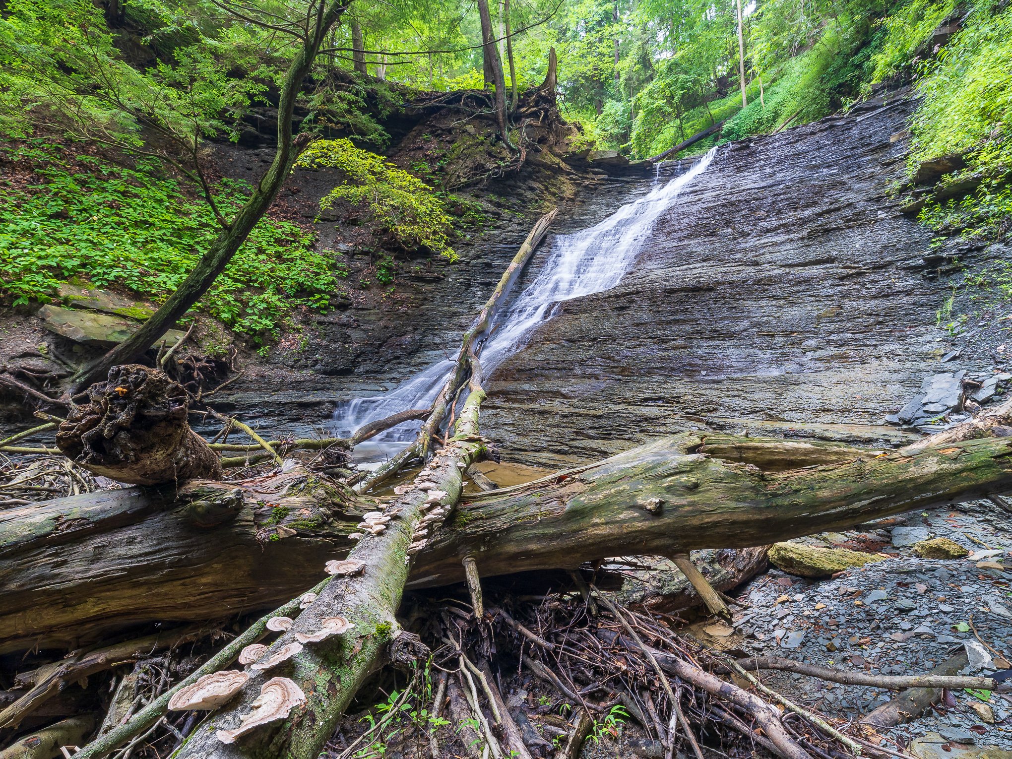 Buttermilk Falls