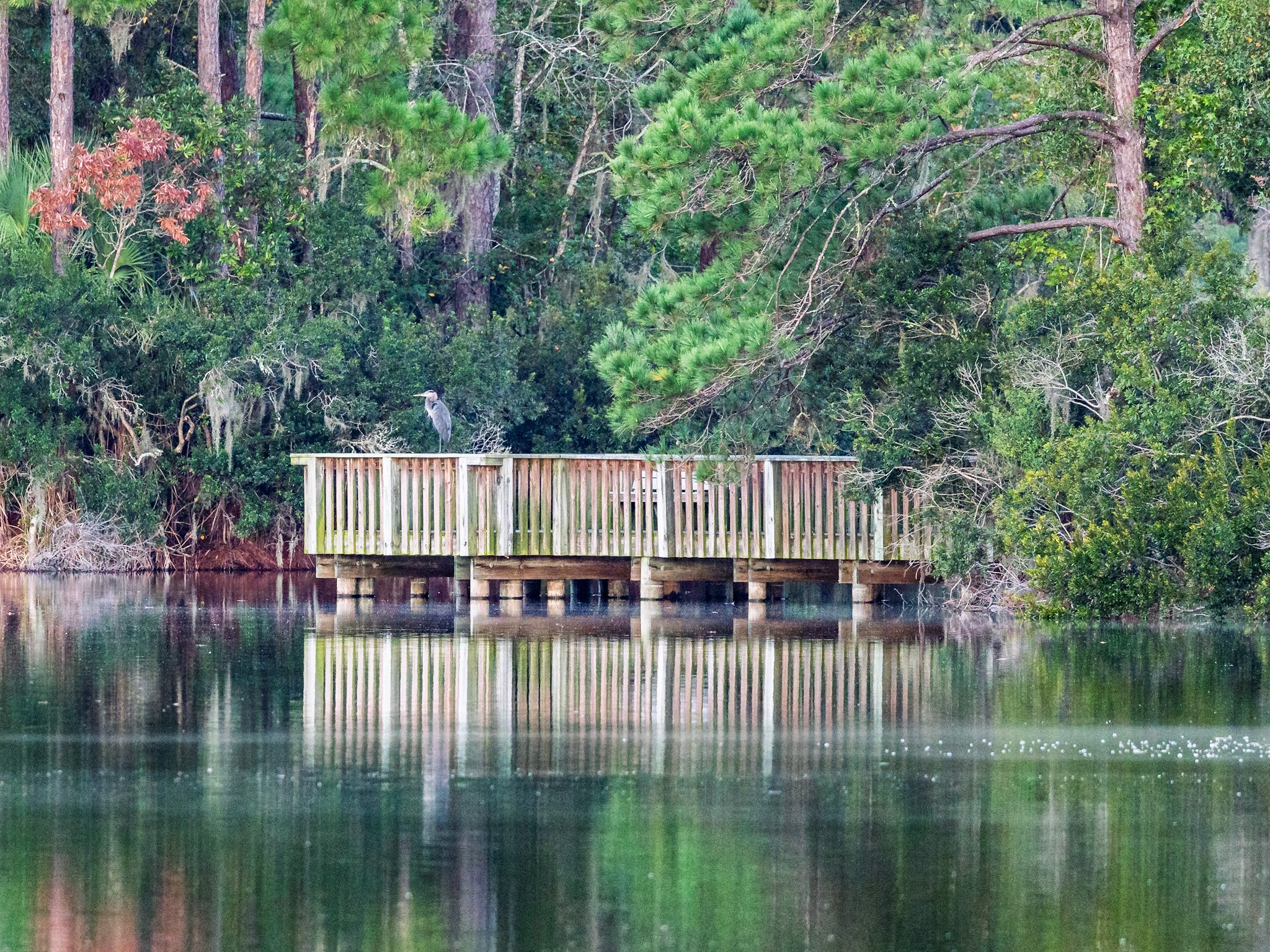 Calm Morning on the Lake