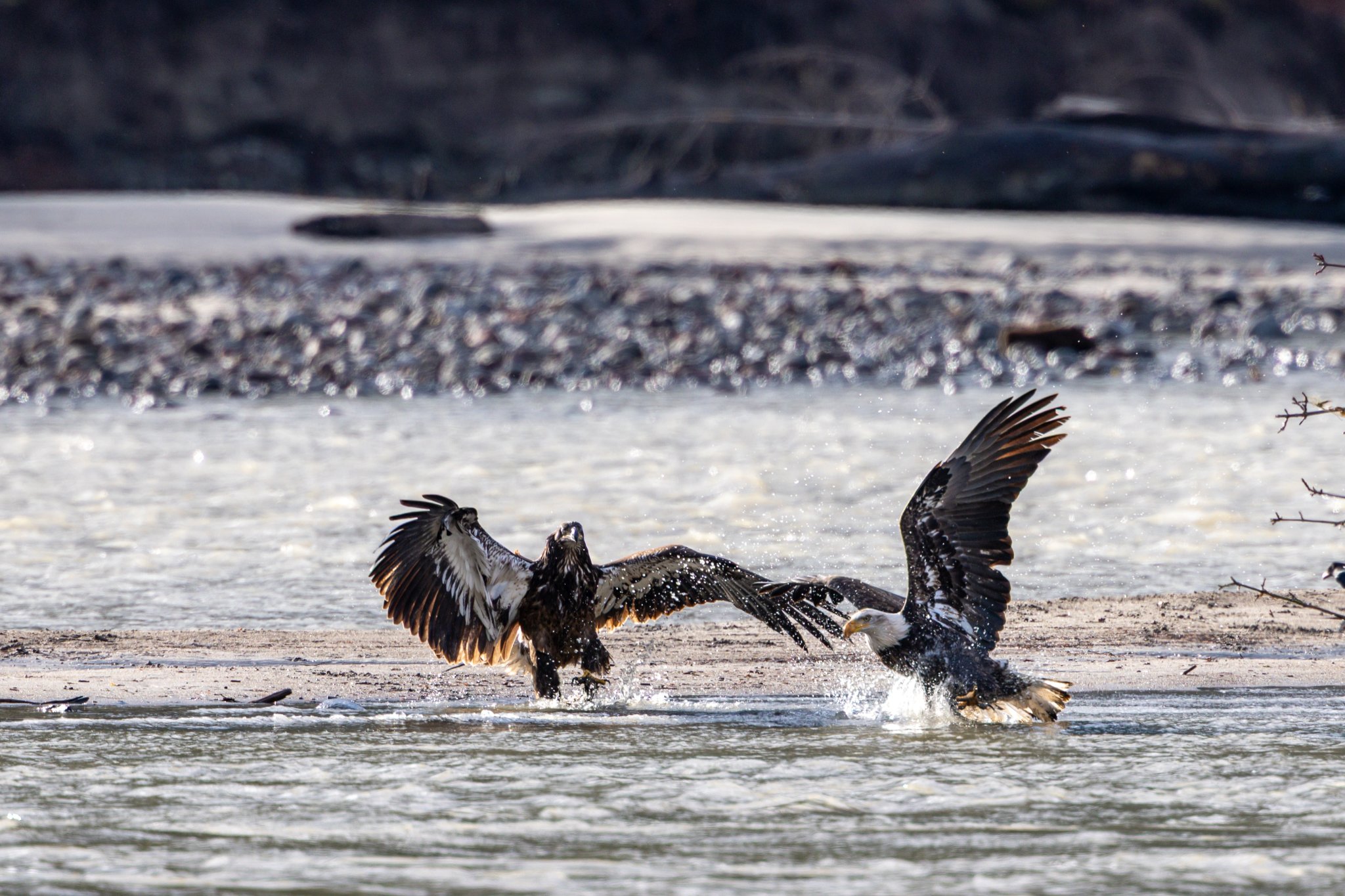 Canada 10-11-2025 0027.jpg