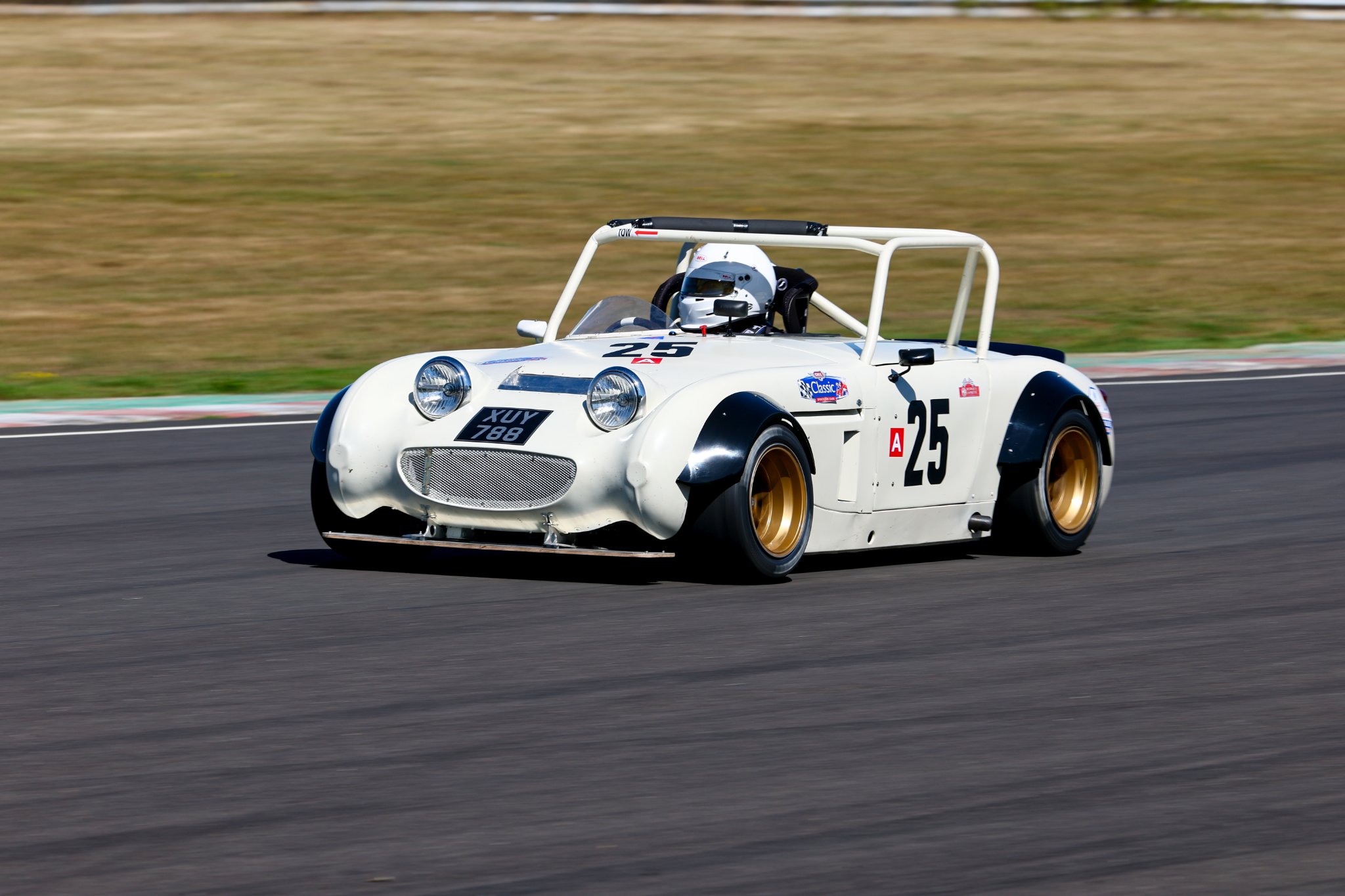 CC 02-08-2025 0535.jpg