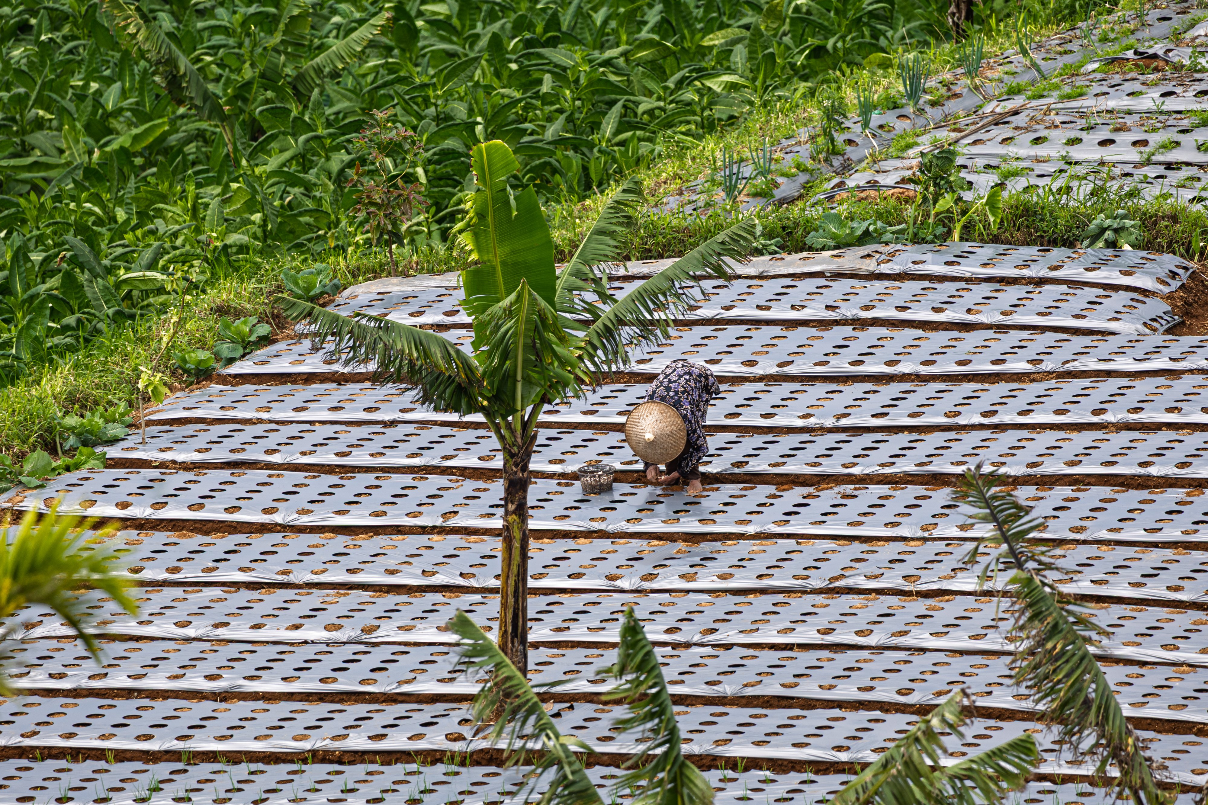 Central Java, Indonesia