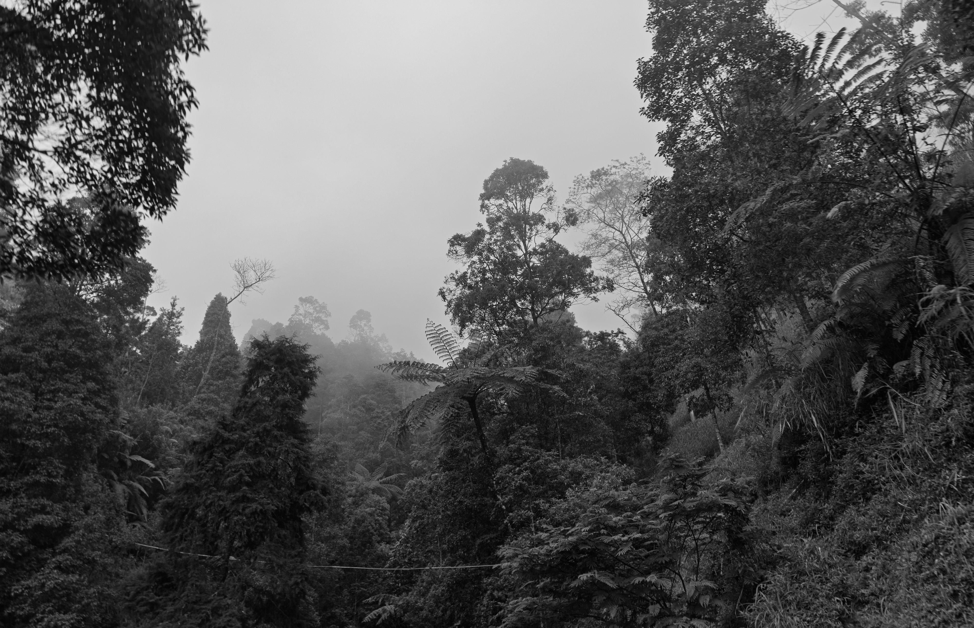 Central Java, Indonesia