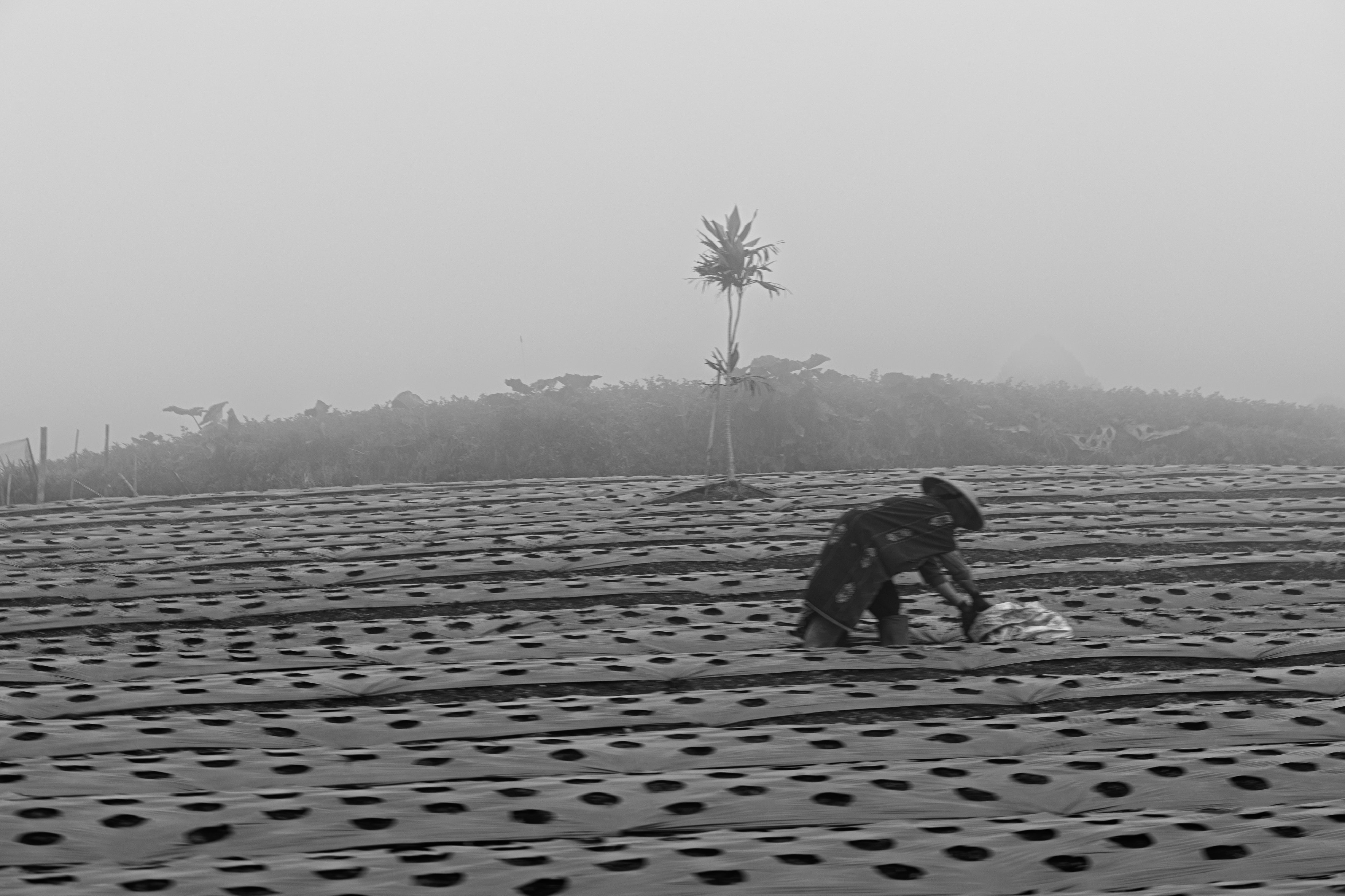 Central Java, Indonesia
