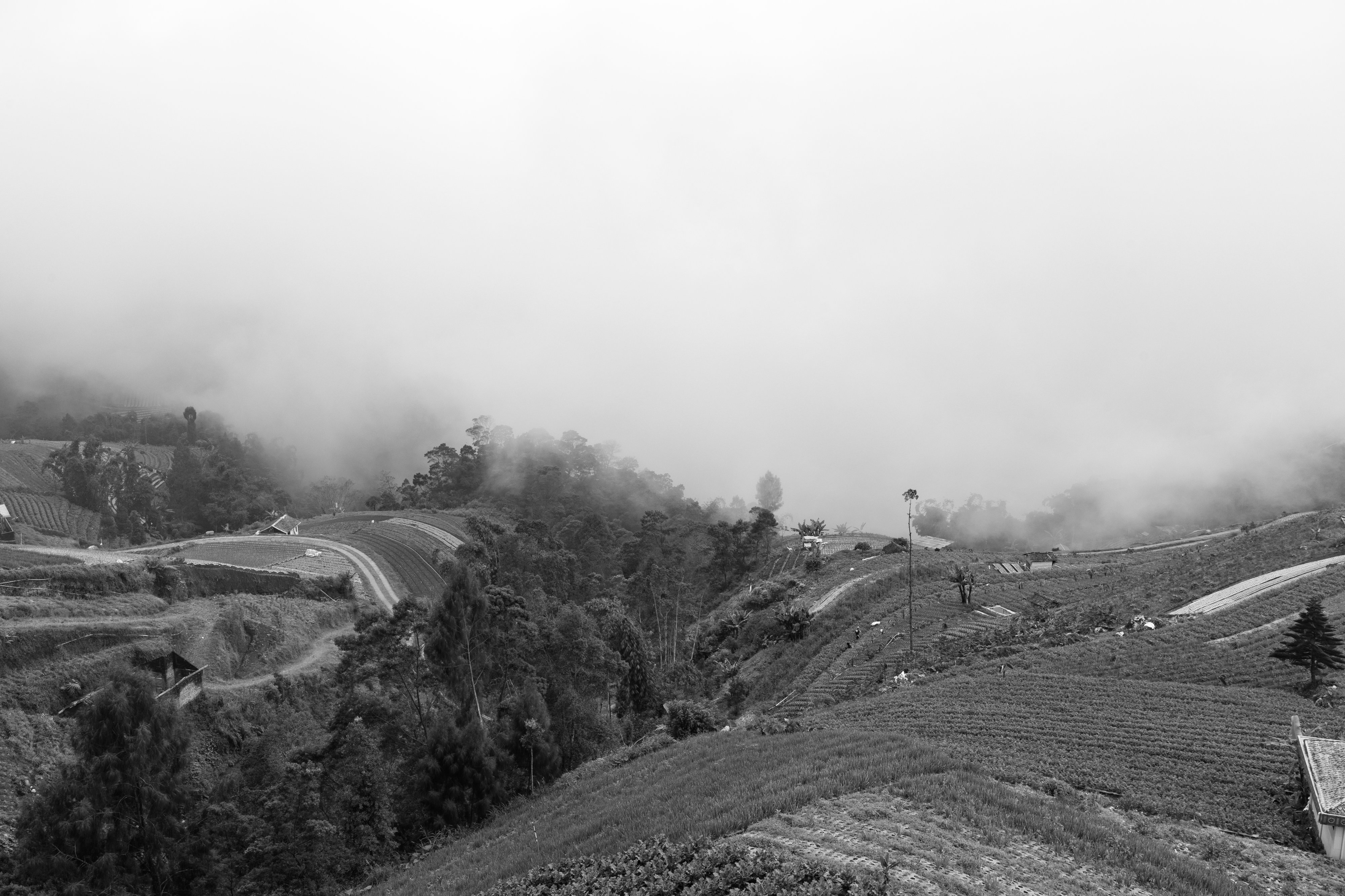 Central Java, Indonesia