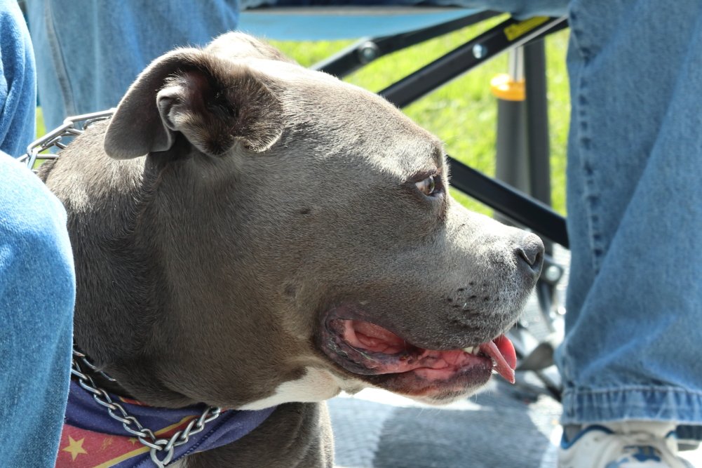 Clark Headshot 1K.JPG