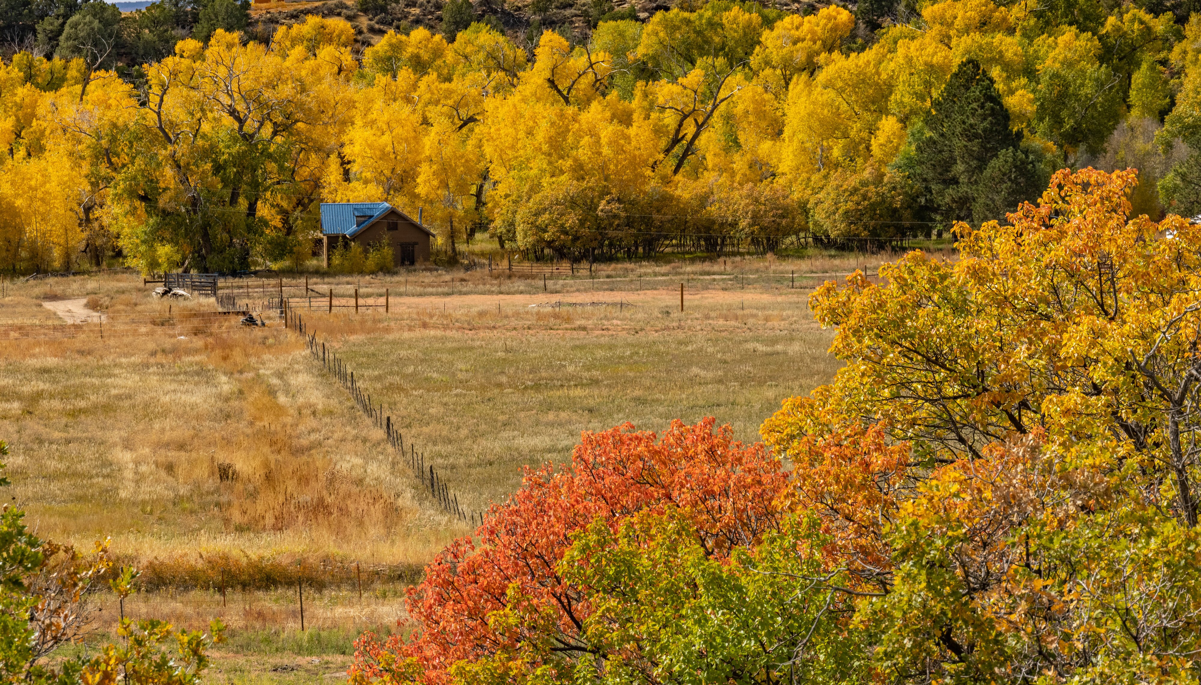 Colorado farmjpg