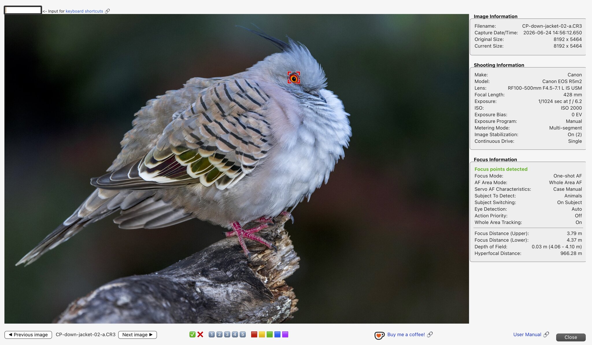 cp-eye-focus-point.jpg